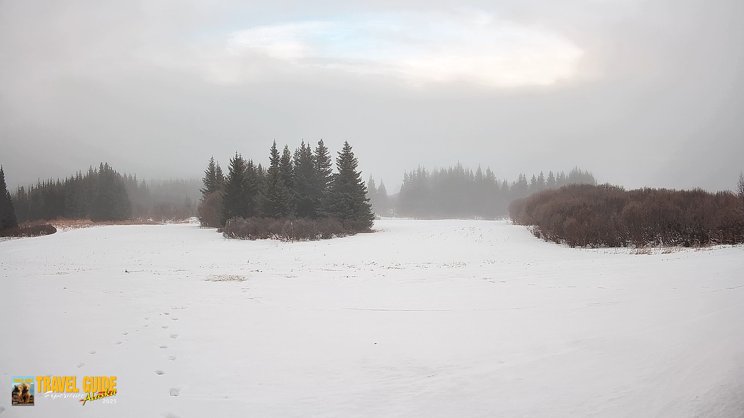 Snapshot of Homer Alaska Northern Lights Live Cam taken Jan 26, 2026, 12:18pm AKST
