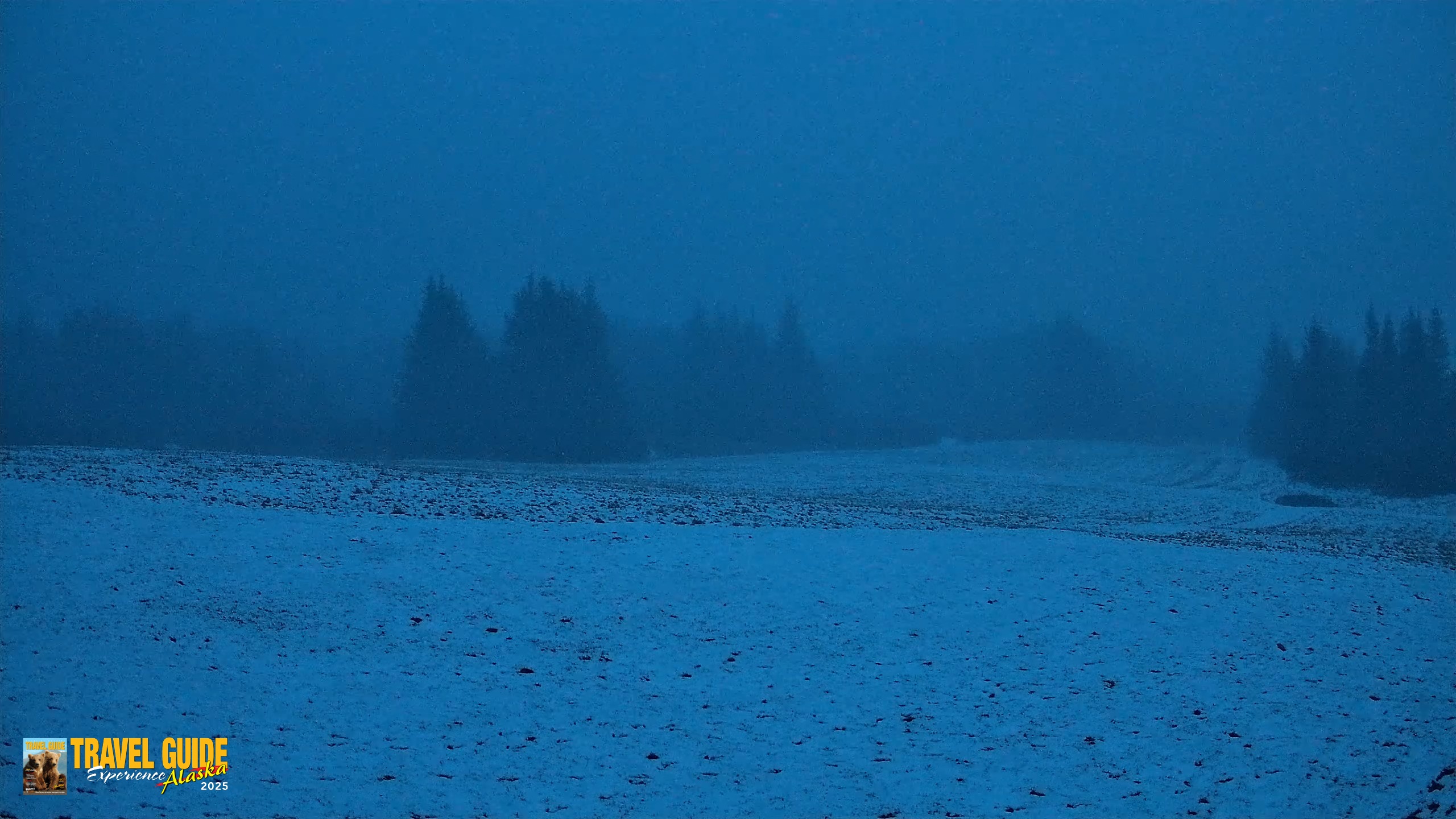 Snapshot of Homer Alaska Northern Lights Live Cam taken May 10, 2026, 12:16am AKDT
