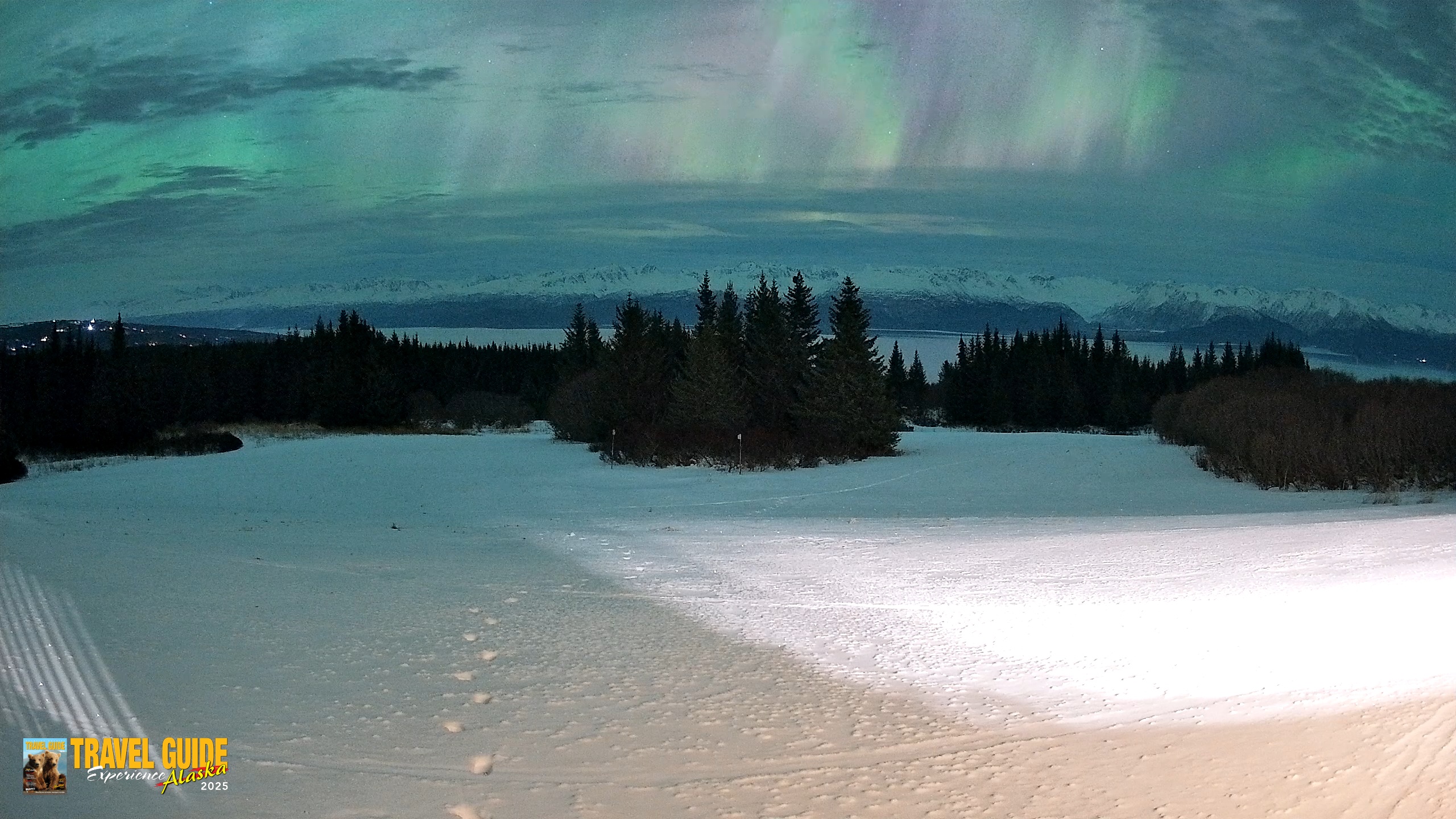 Snapshot of Homer Alaska Northern Lights Live Cam taken Jan 20, 2026, 2:02am AKST