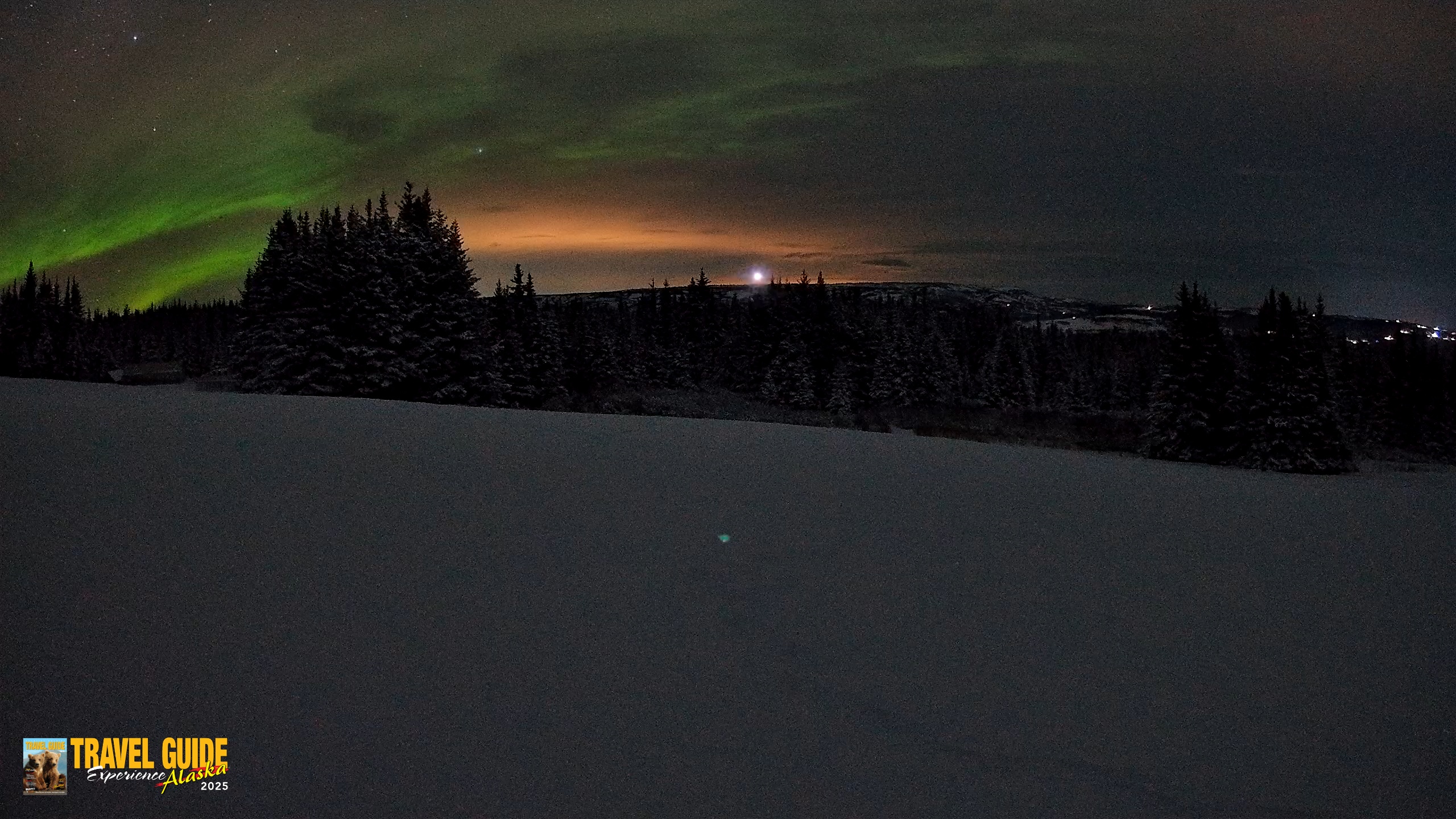 Snapshot of Homer Alaska Northern Lights Live Cam taken Jan 10, 2026, 10:04am AKST