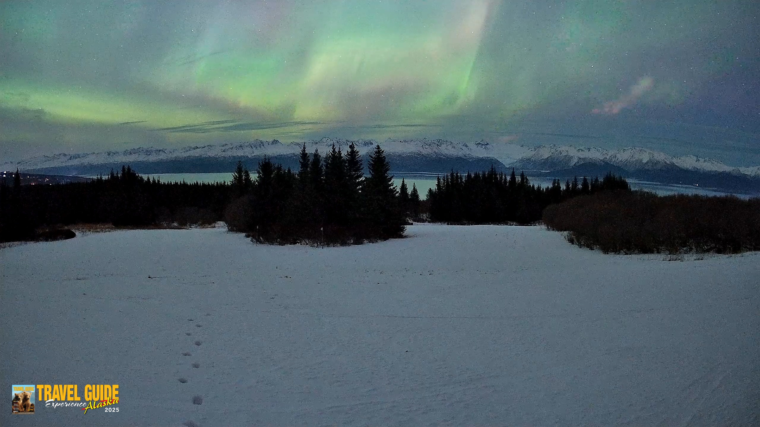 Snapshot of Homer Alaska Northern Lights Live Cam taken Jan 20, 2026, 11:05pm AKST