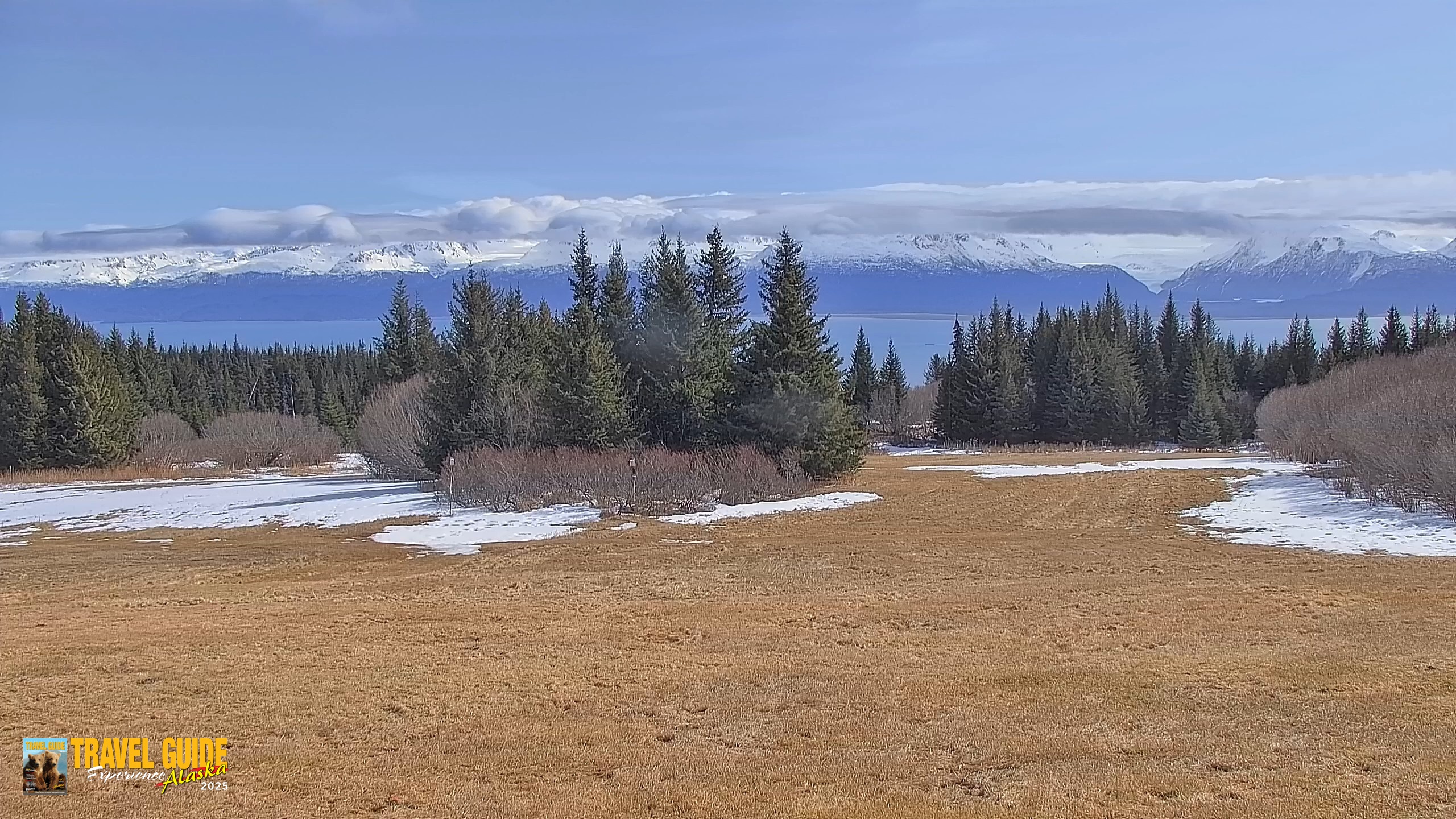 Snapshot of Homer Alaska Northern Lights Live Cam taken Apr 21, 2026, 1:18pm AKDT