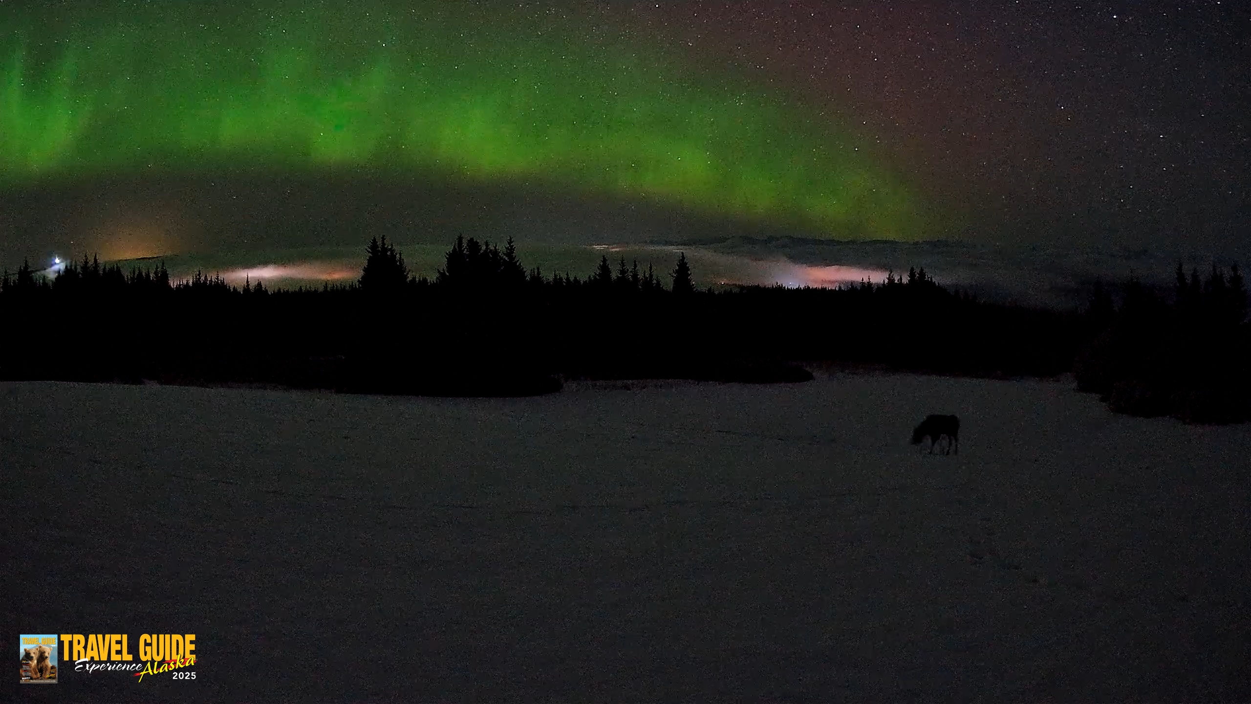 Snapshot of Homer Alaska Northern Lights Live Cam taken Feb 19, 2026, 3:36am AKST