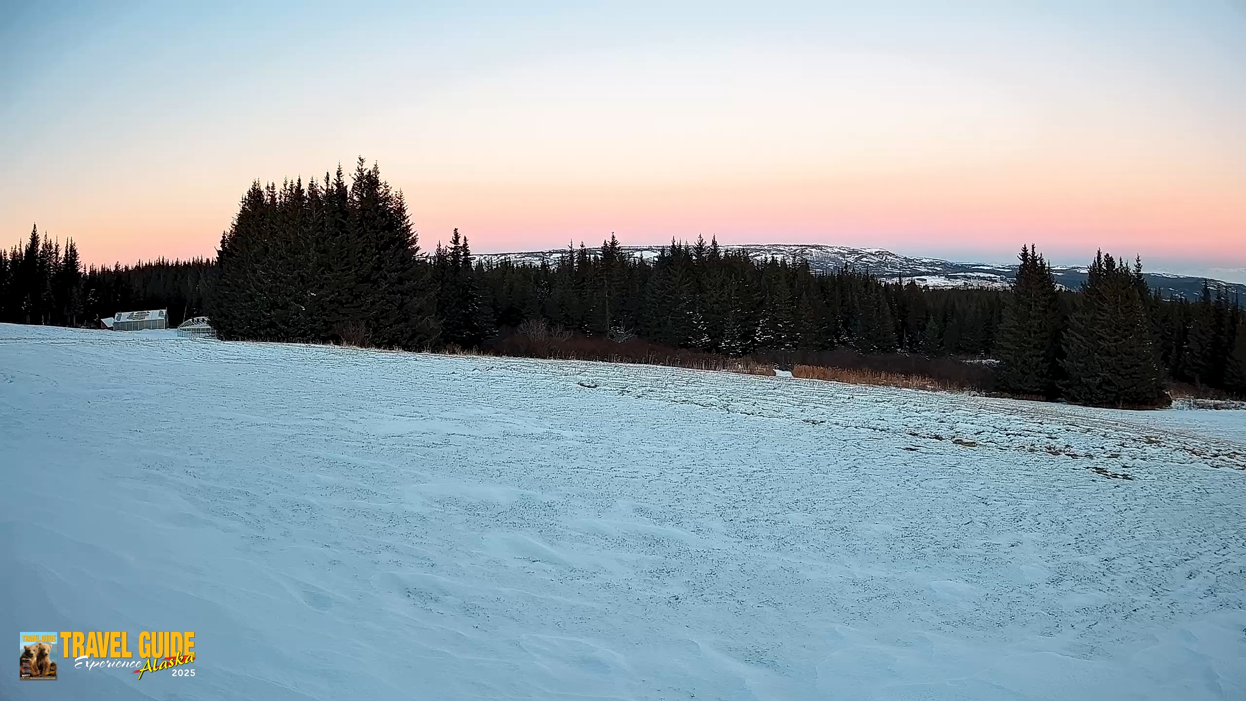 Snapshot of Homer Alaska Northern Lights Live Cam taken Dec 31, 2025, 4:56pm AKST