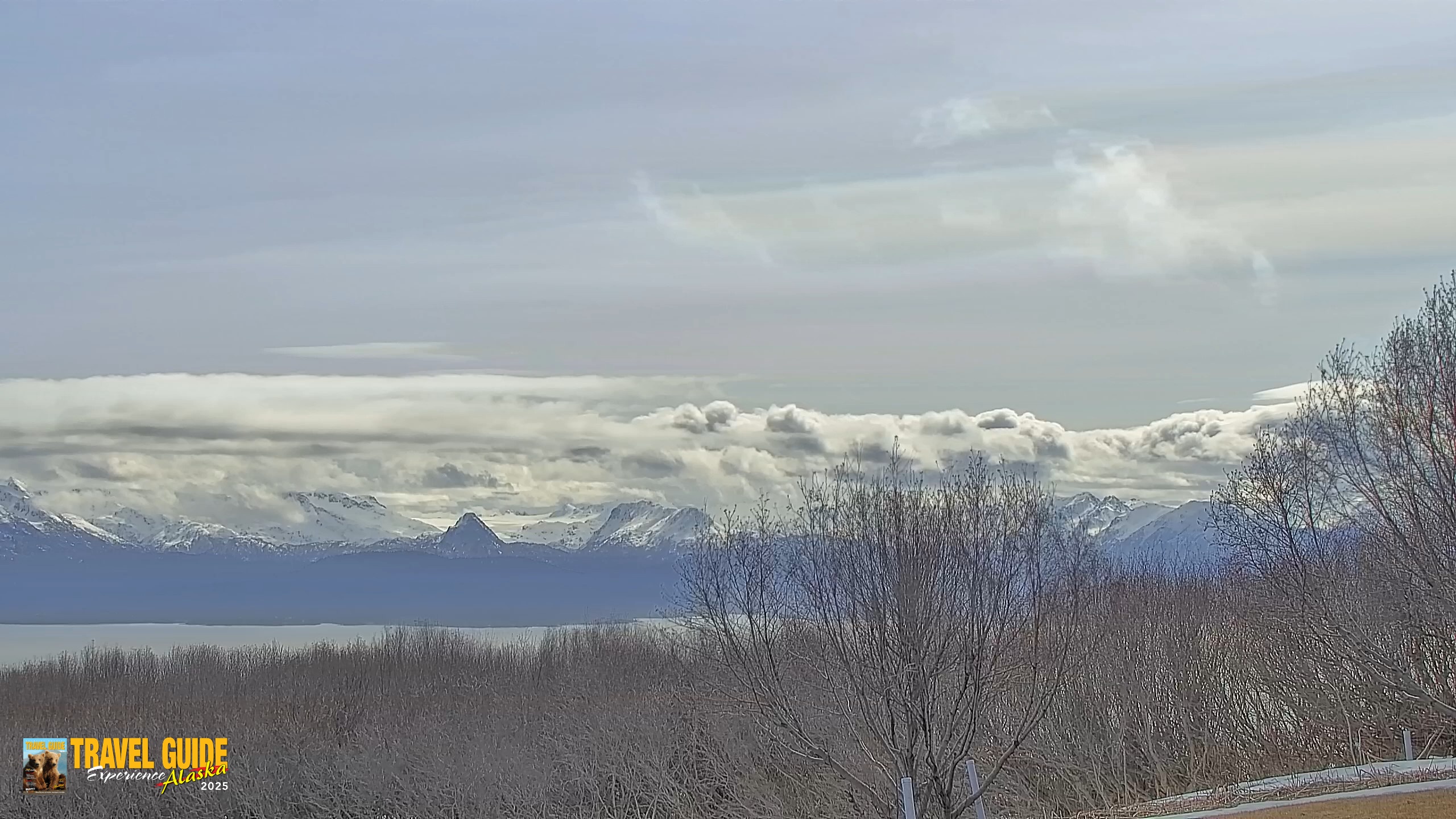 Snapshot of Homer Alaska Northern Lights Live Cam taken Apr 21, 2026, 1:20pm AKDT