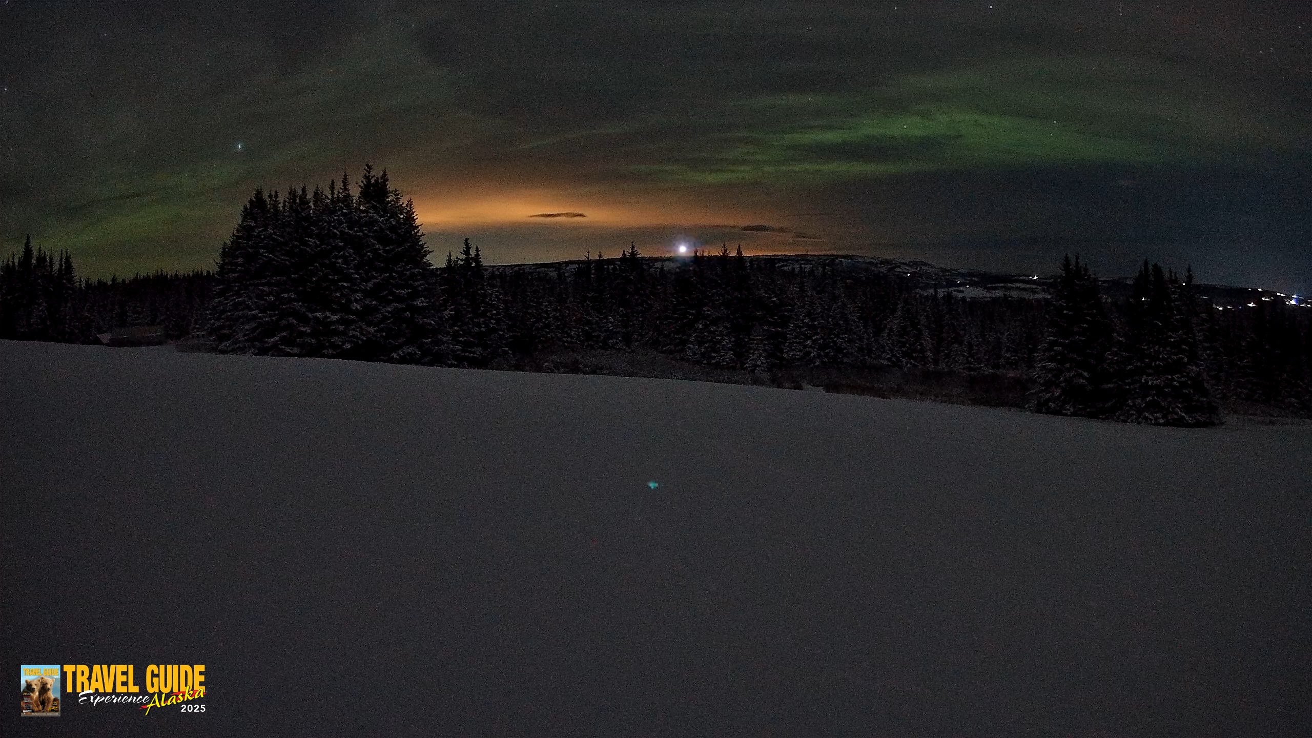 Snapshot of Homer Alaska Northern Lights Live Cam taken Jan 9, 2026, 11:50pm AKST
