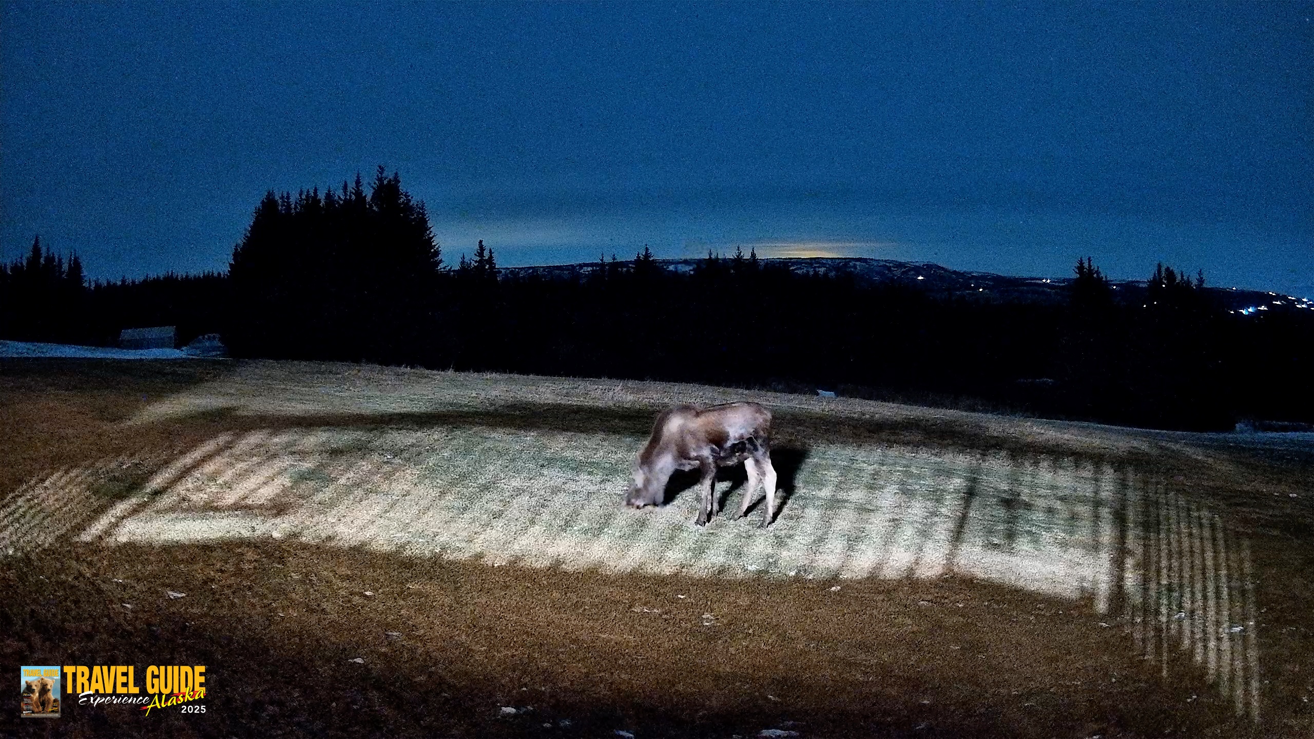 Snapshot of Homer Alaska Northern Lights Live Cam taken Dec 25, 2025, 7:46pm AKST