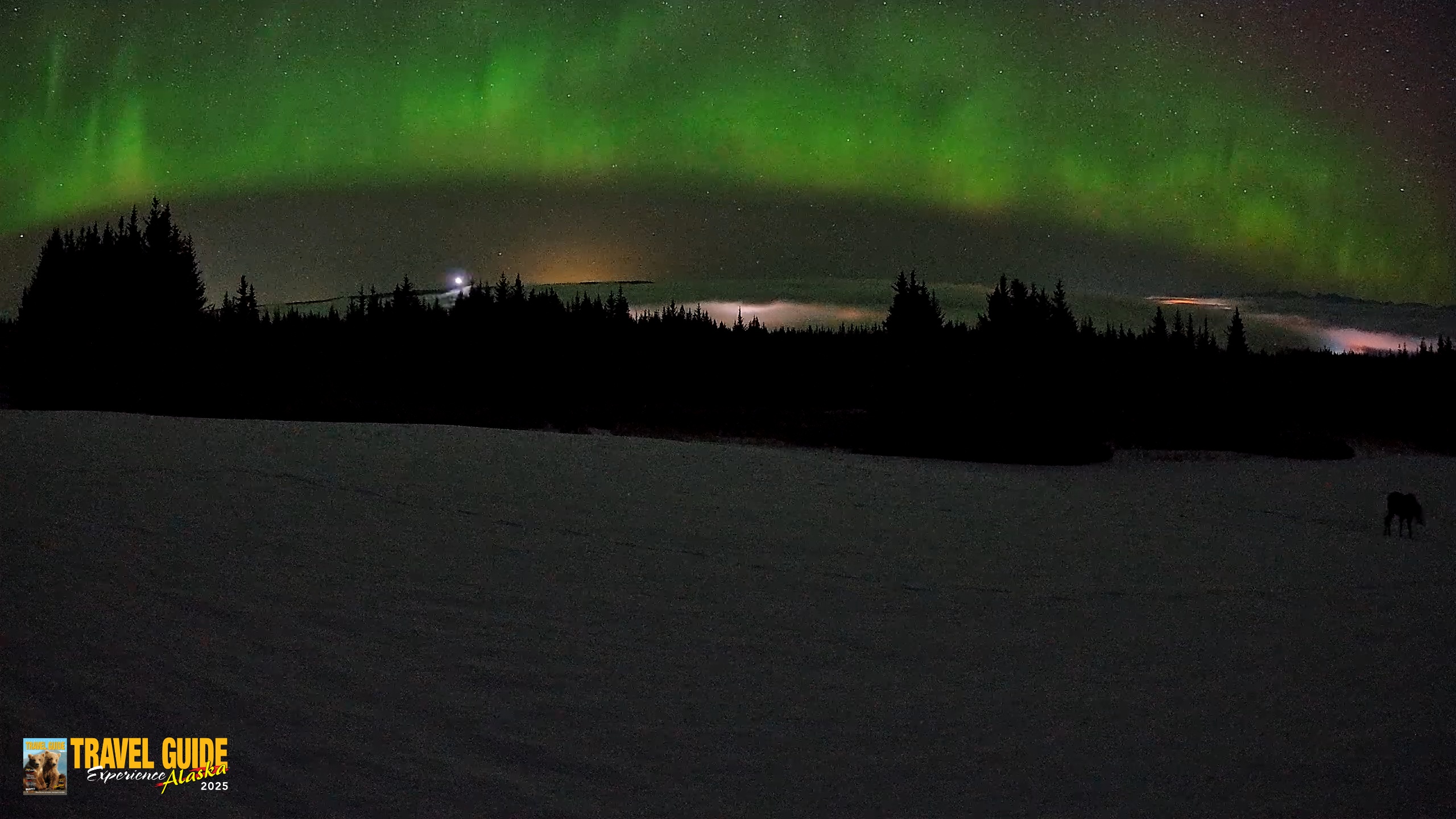Snapshot of Homer Alaska Northern Lights Live Cam taken Feb 19, 2026, 3:41am AKST