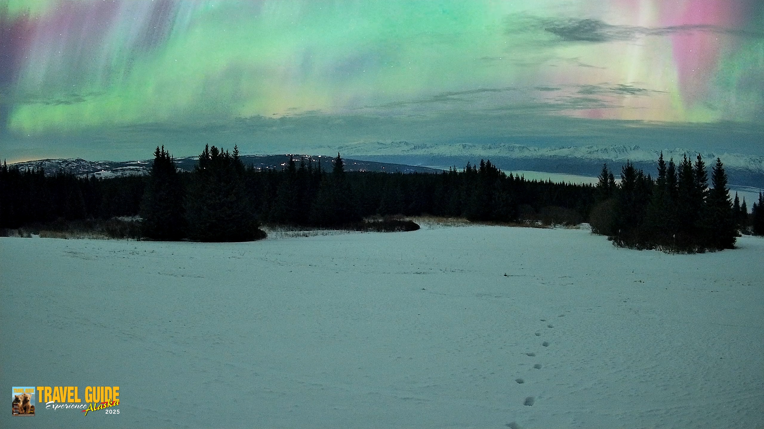 Snapshot of Homer Alaska Northern Lights Live Cam taken Jan 20, 2026, 6:06am AKST