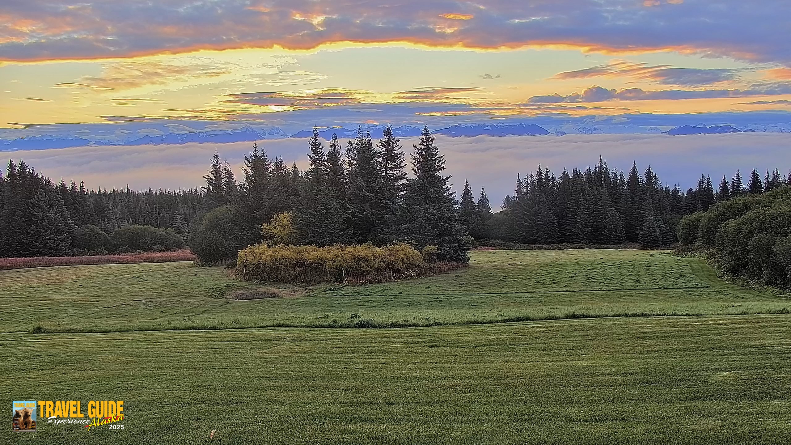 Snapshot of Homer Alaska Northern Lights Live Cam taken Sep 28, 2026, 8:23am AKDT