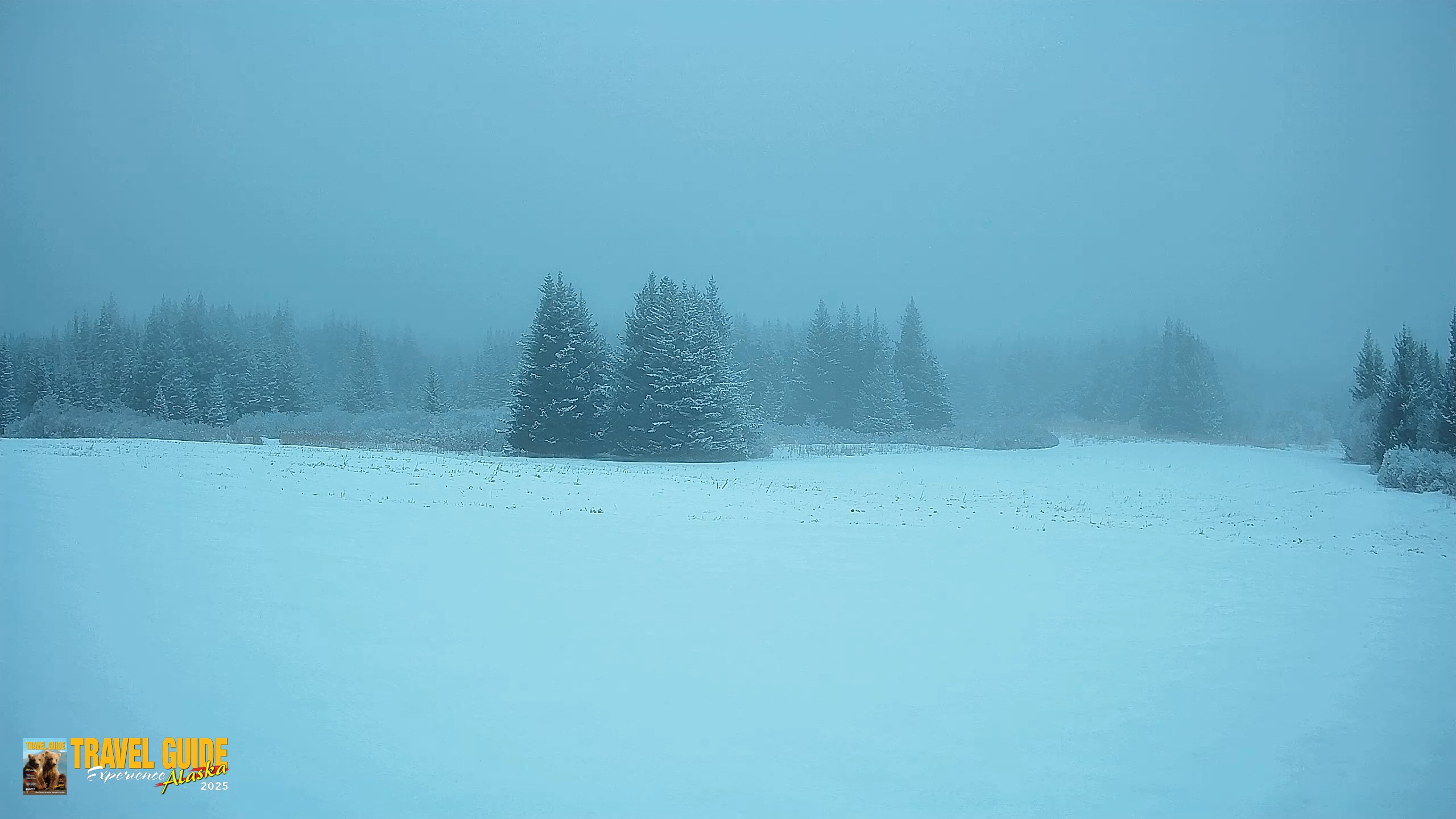 Snapshot of Homer Alaska Northern Lights Live Cam taken Feb 10, 2026, 5:47pm AKST