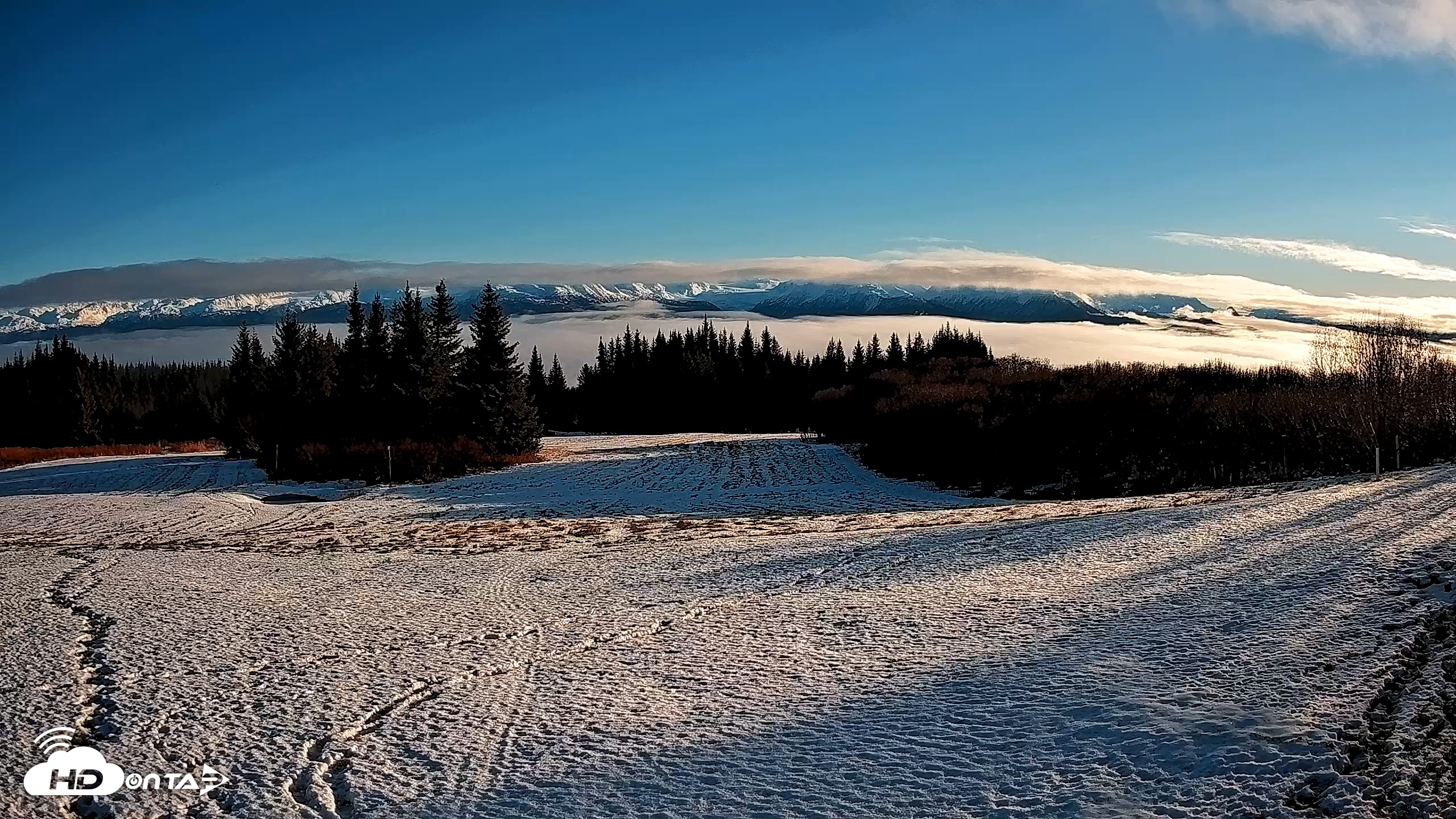 Snapshot of Homer Alaska Northern Lights Live Cam taken Nov 28, 2025, 12:35pm AKST
