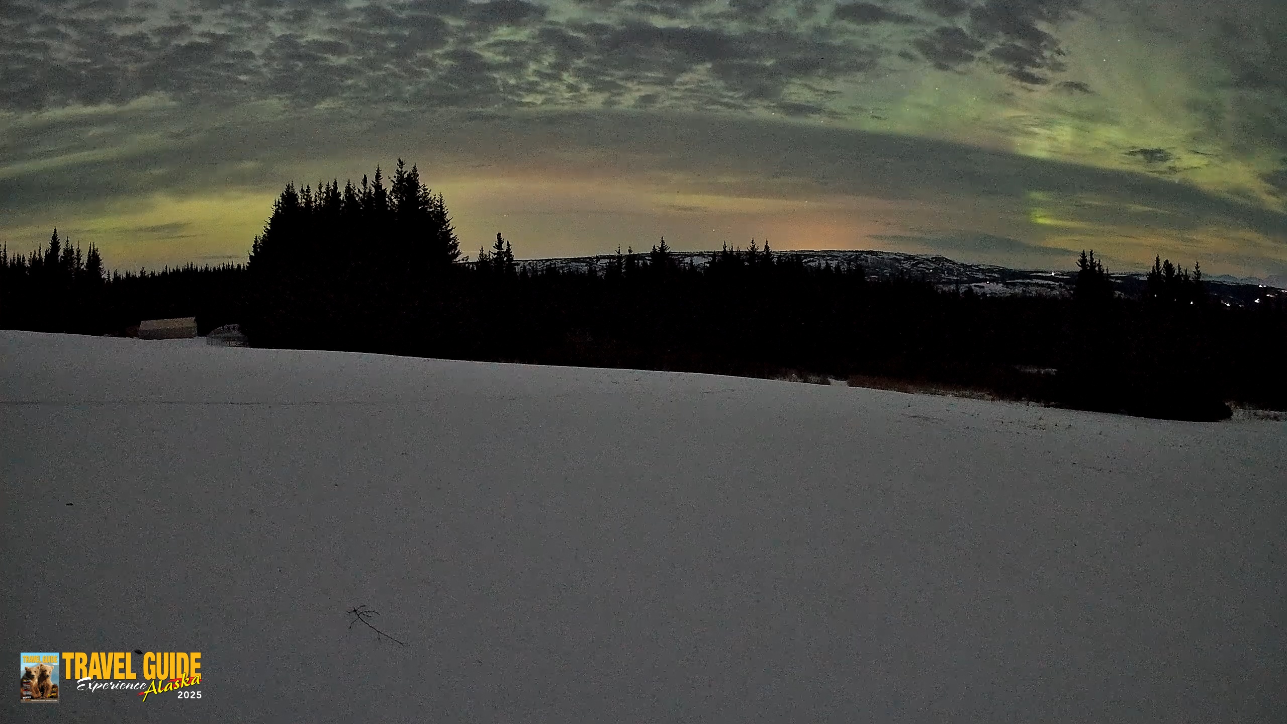 Snapshot of Homer Alaska Northern Lights Live Cam taken Jan 21, 2026, 3:54am AKST