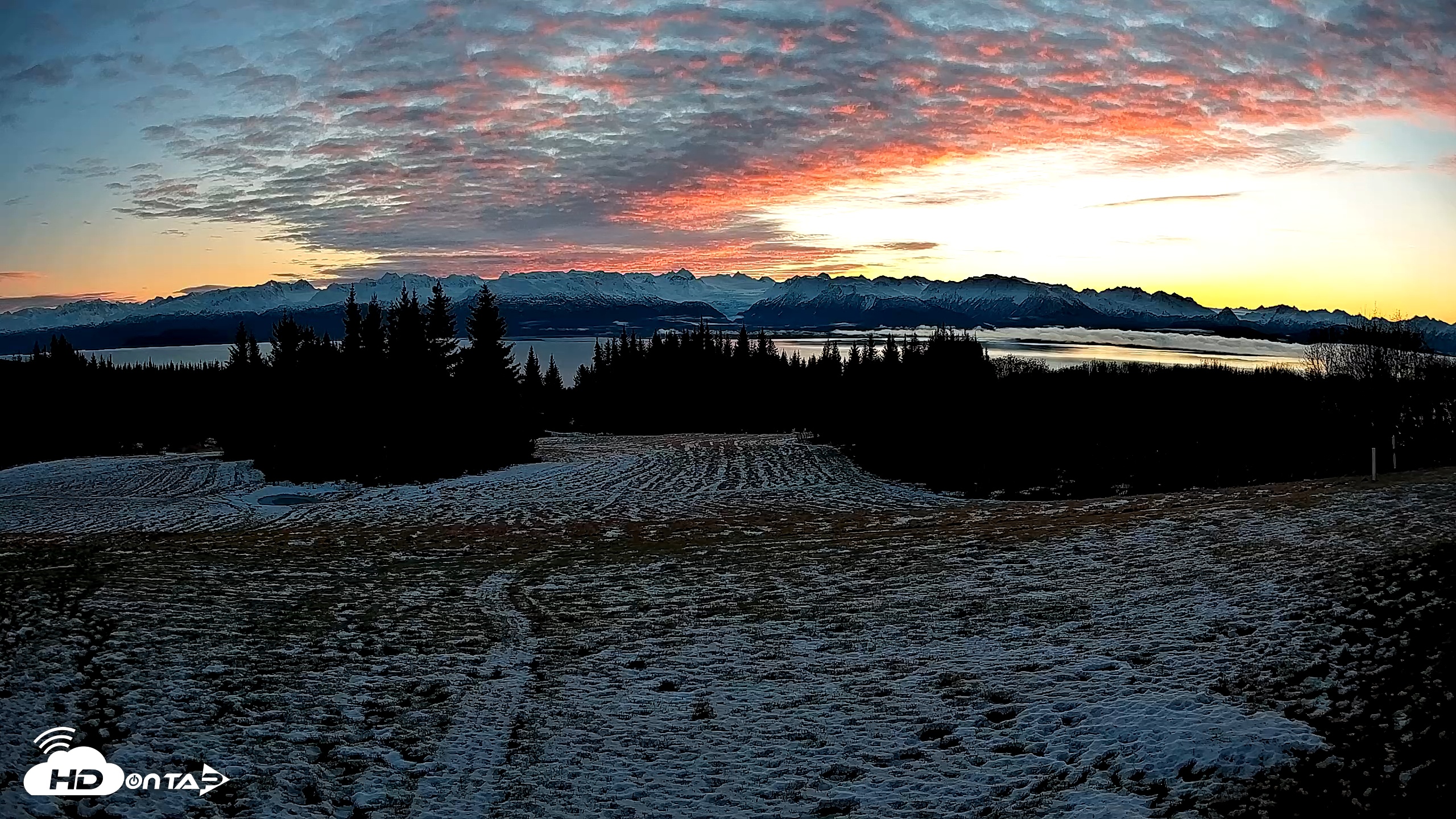 Snapshot of Homer Alaska Northern Lights Live Cam taken Dec 1, 2025, 10:24am AKST