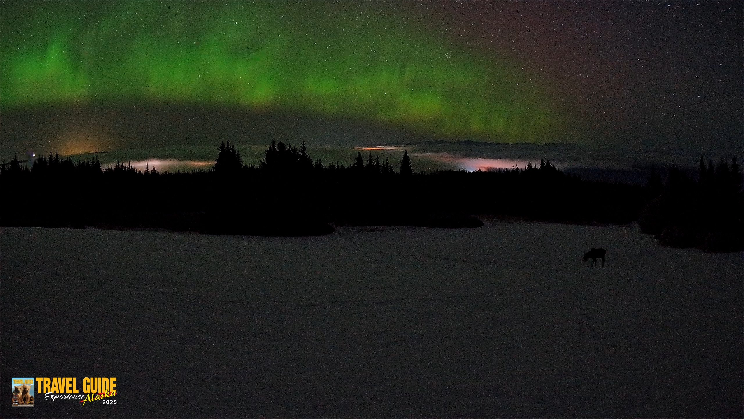 Snapshot of Homer Alaska Northern Lights Live Cam taken Feb 19, 2026, 3:40am AKST