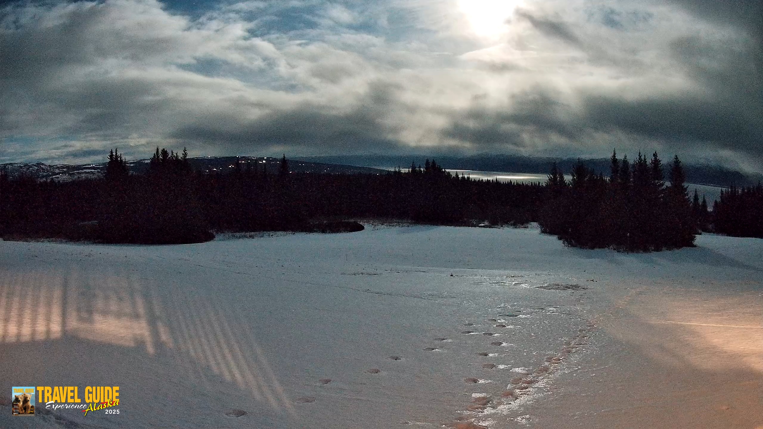 Snapshot of Homer Alaska Northern Lights Live Cam taken Feb 1, 2026, 7:56pm AKST