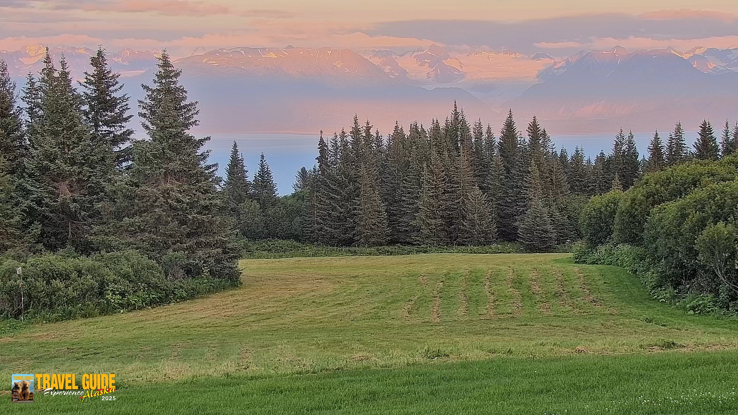 Snapshot of Homer Alaska Northern Lights Live Cam taken Aug 17, 2026, 9:25pm AKDT