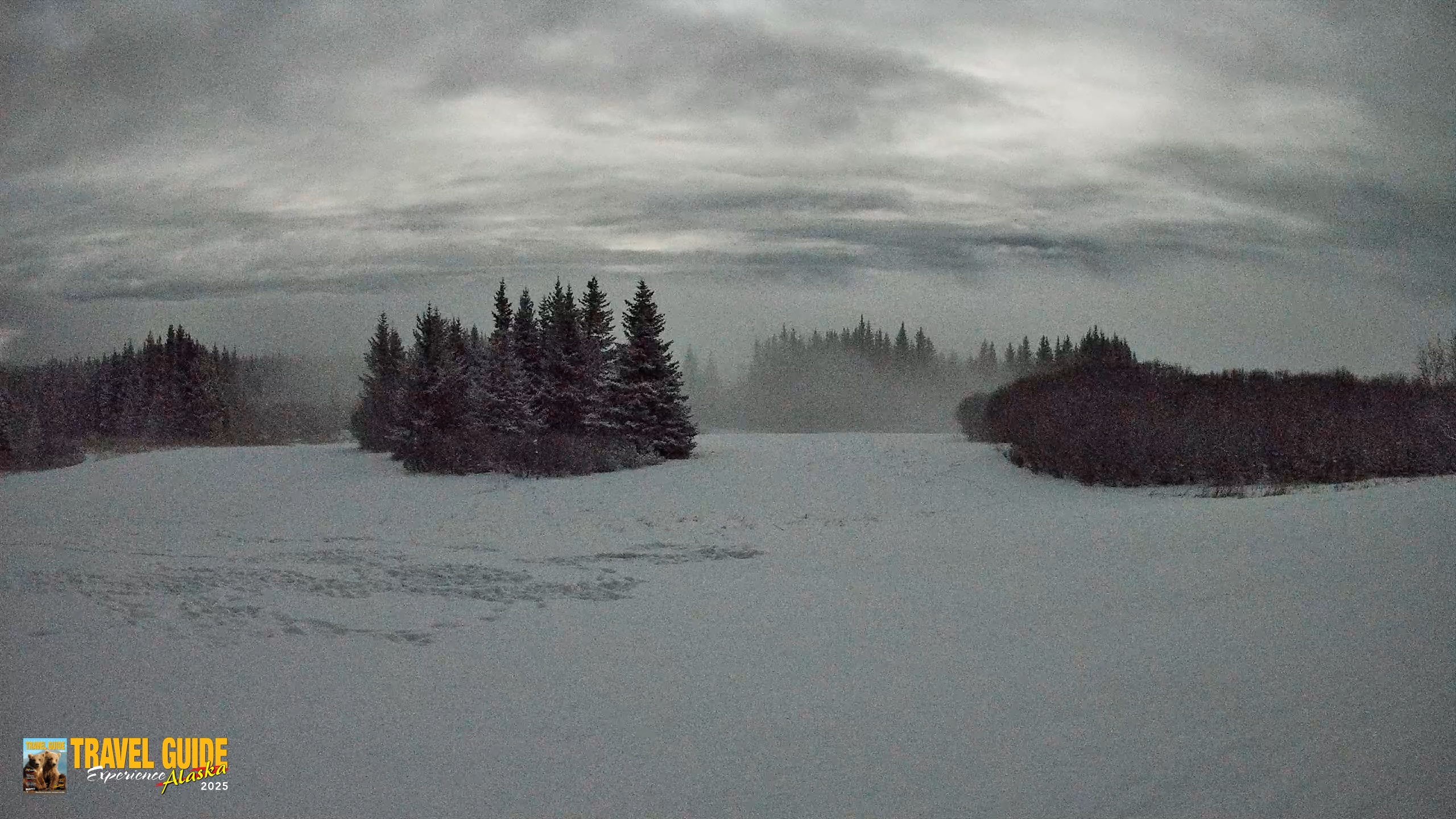 Snapshot of Homer Alaska Northern Lights Live Cam taken Jan 6, 2026, 12:11am AKST