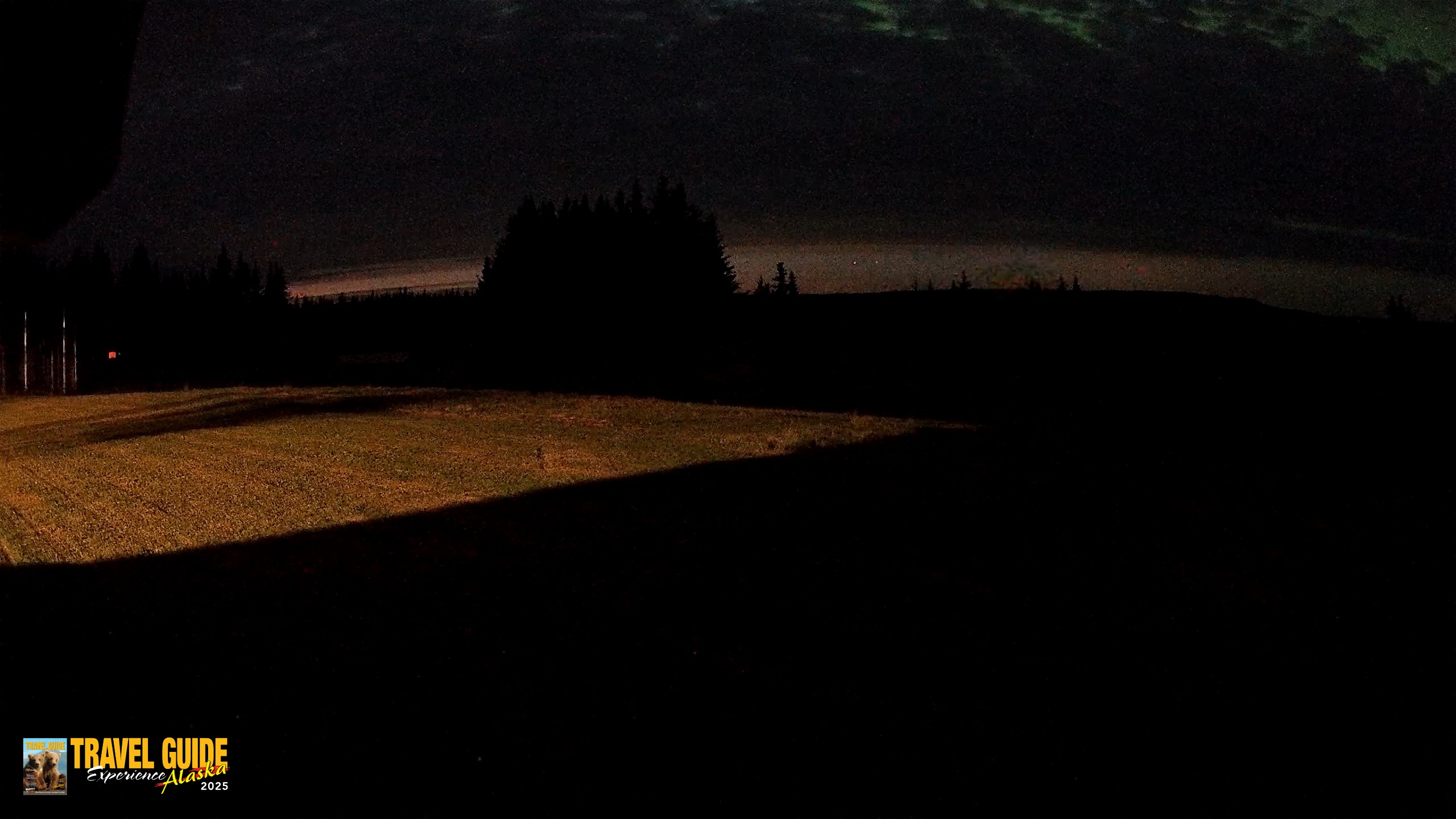 Snapshot of Homer Alaska Northern Lights Live Cam taken Aug 19, 2026, 12:49am AKDT