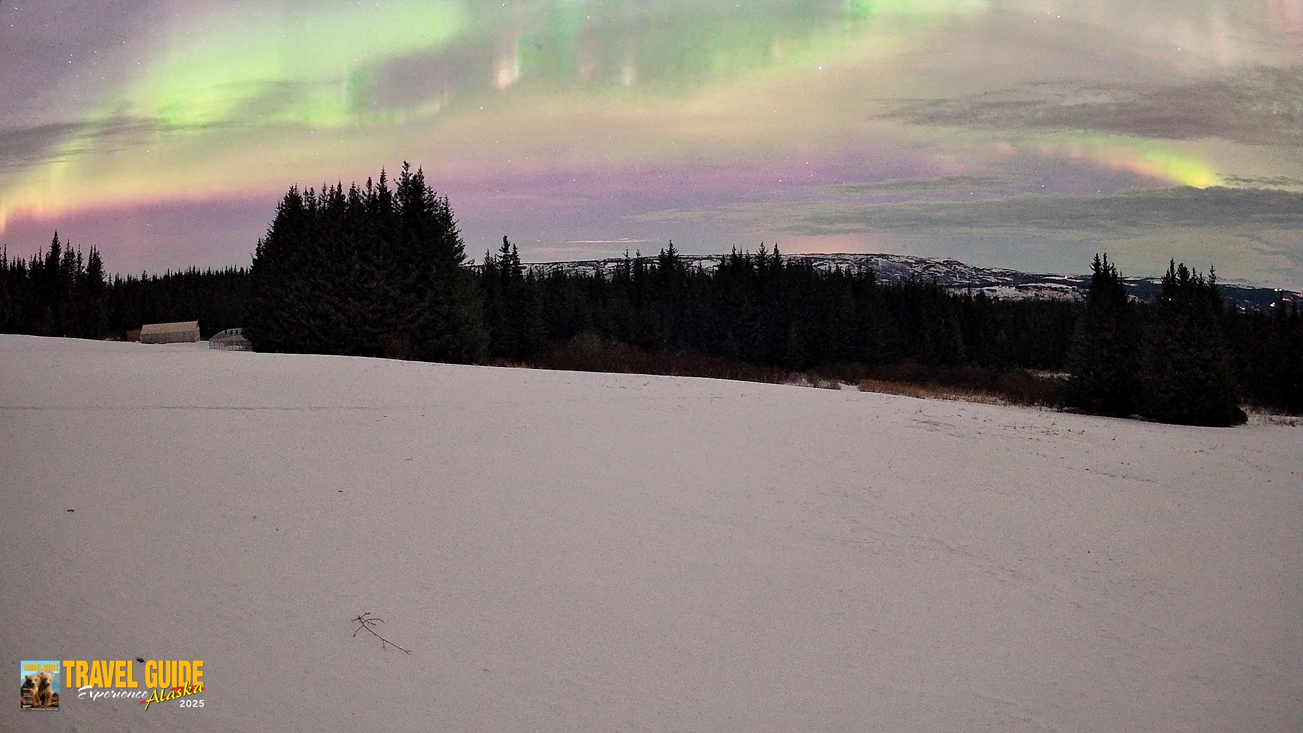 Snapshot of Homer Alaska Northern Lights Live Cam taken Jan 21, 2026, 2:01am AKST