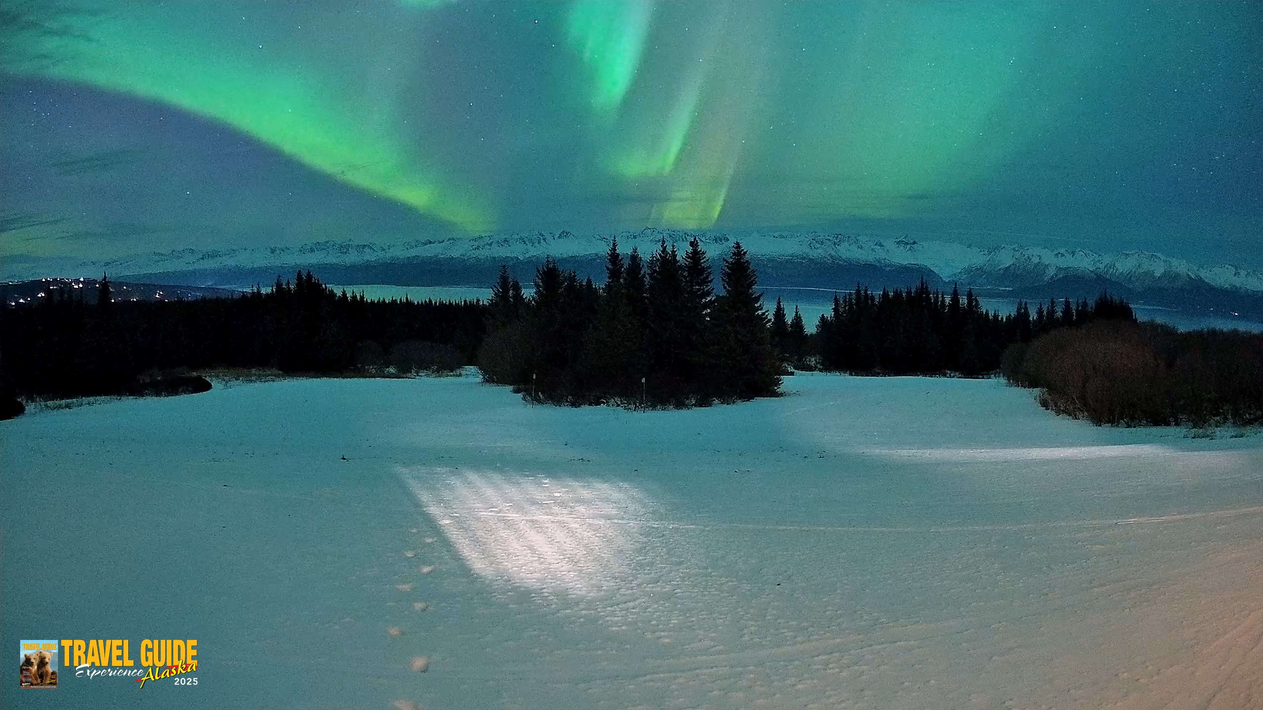 Snapshot of Homer Alaska Northern Lights Live Cam taken Jan 20, 2026, 9:54pm AKST