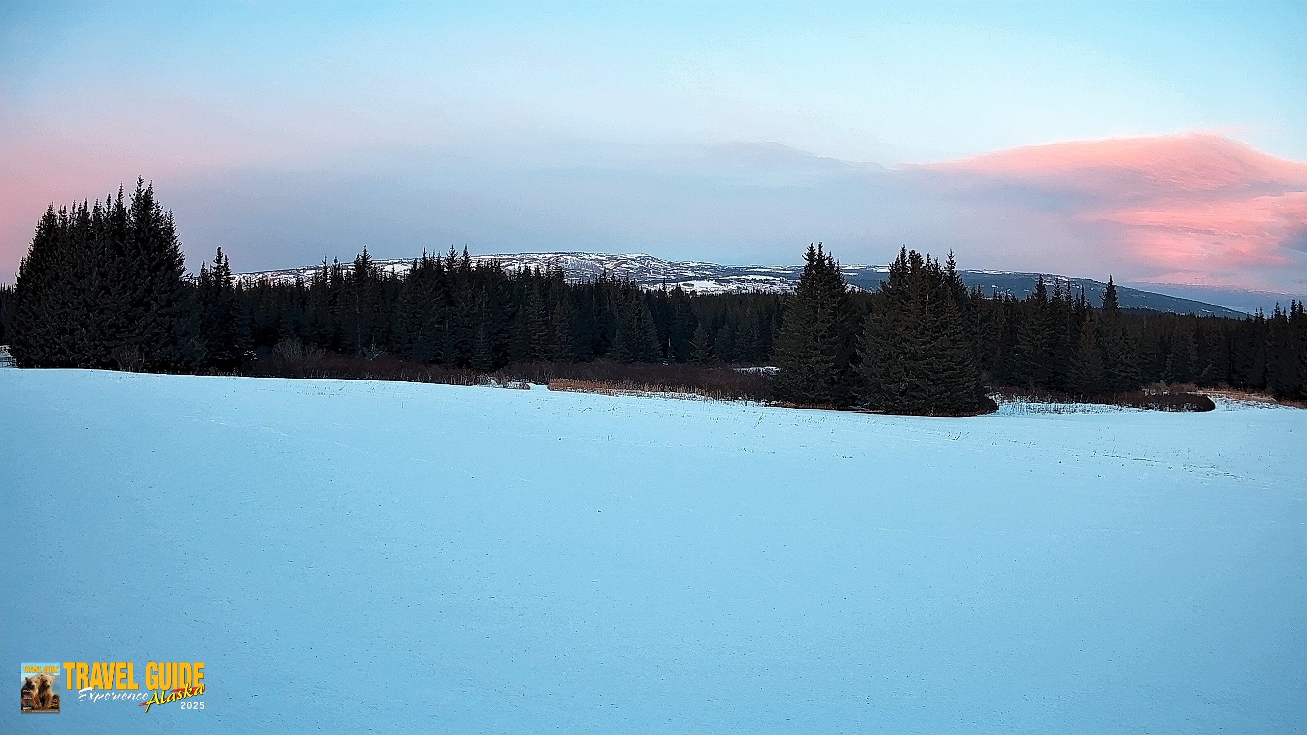 Snapshot of Homer Alaska Northern Lights Live Cam taken Feb 19, 2026, 6:06pm AKST