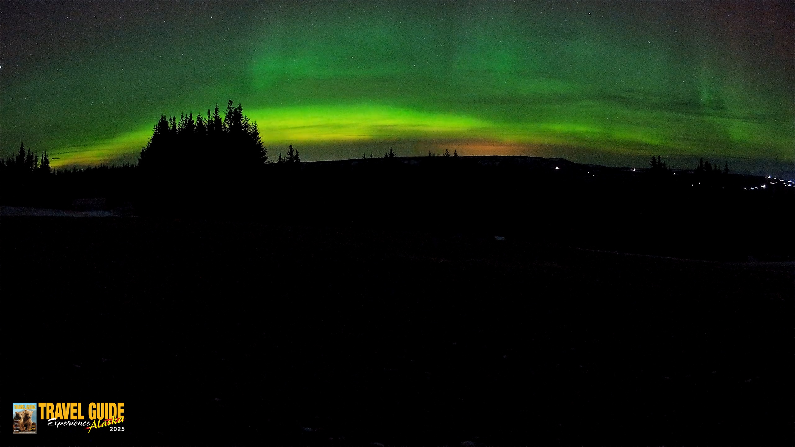 Snapshot of Homer Alaska Northern Lights Live Cam taken Dec 23, 2025, 11:20pm AKST