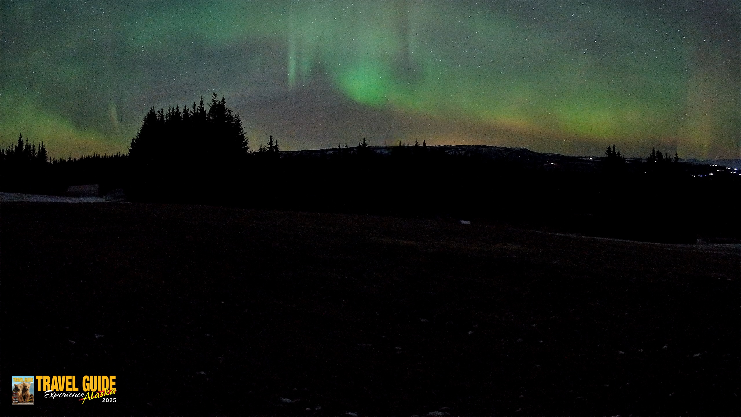 Snapshot of Homer Alaska Northern Lights Live Cam taken Dec 22, 2025, 6:08am AKST