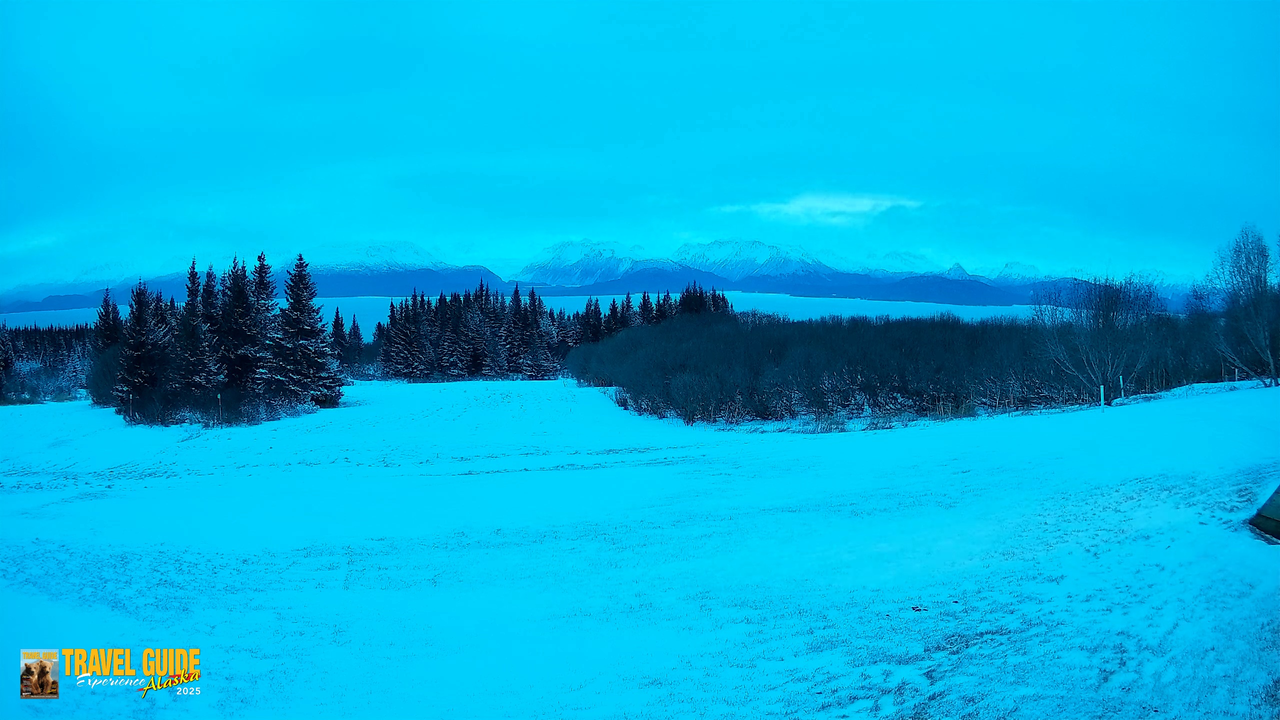 Snapshot of Homer Alaska Northern Lights Live Cam taken Dec 27, 2025, 9:21am AKST