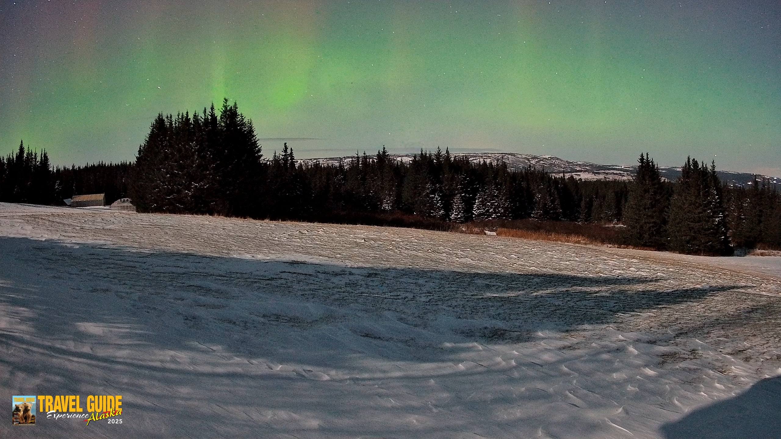 Snapshot of Homer Alaska Northern Lights Live Cam taken Dec 29, 2025, 12:44am AKST