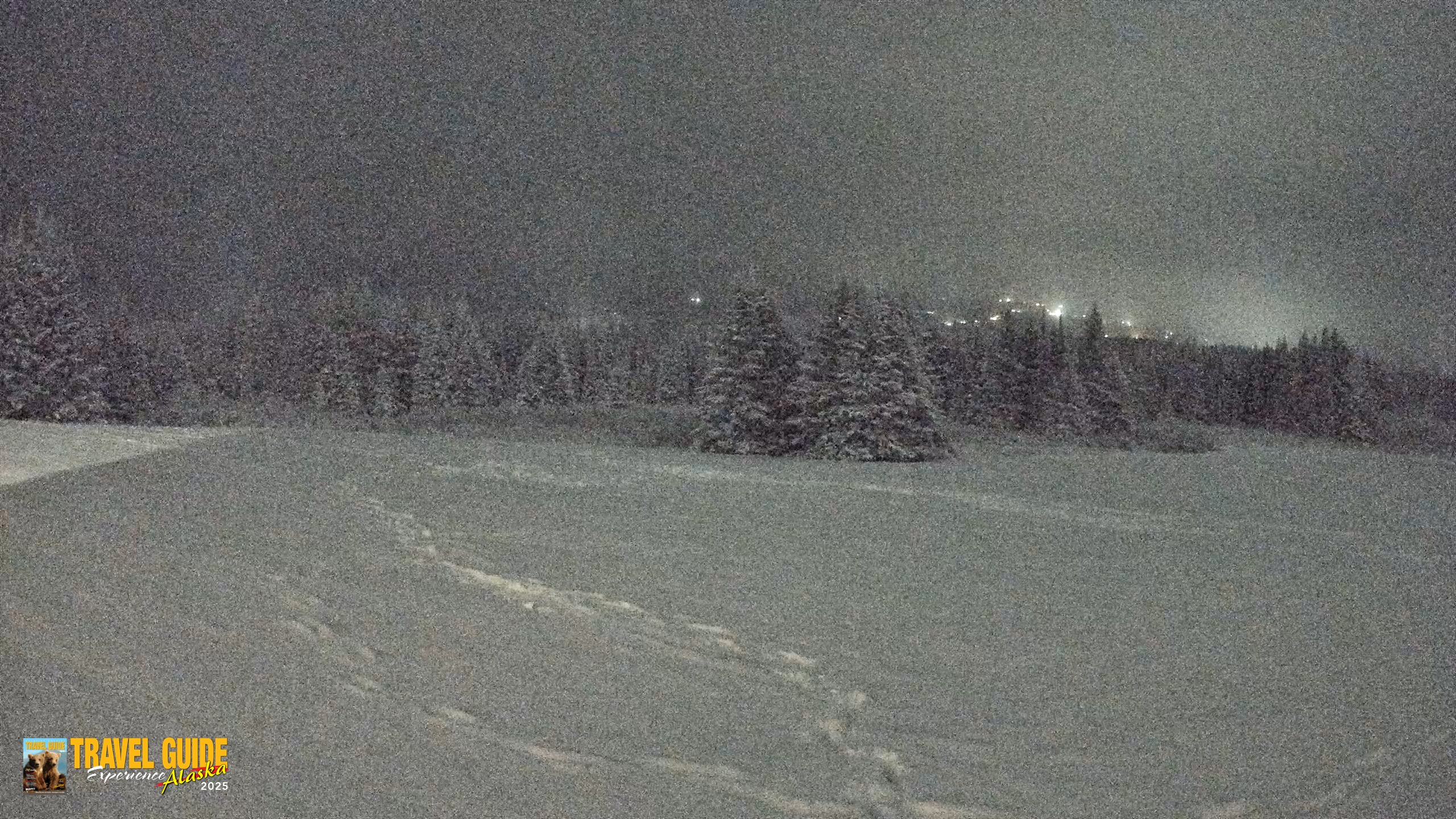 Snapshot of Homer Alaska Northern Lights Live Cam taken Jan 12, 2026, 10:25pm AKST