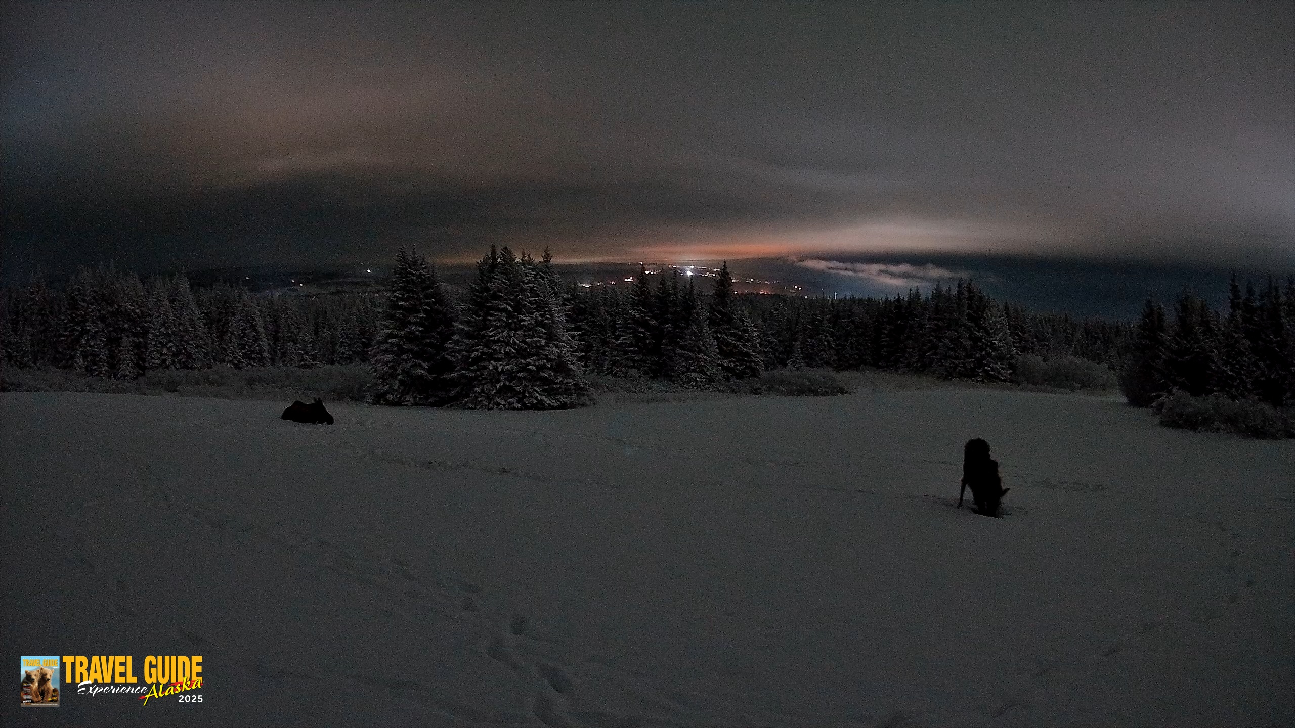 Snapshot of Homer Alaska Northern Lights Live Cam taken Jan 14, 2026, 1:20am AKST