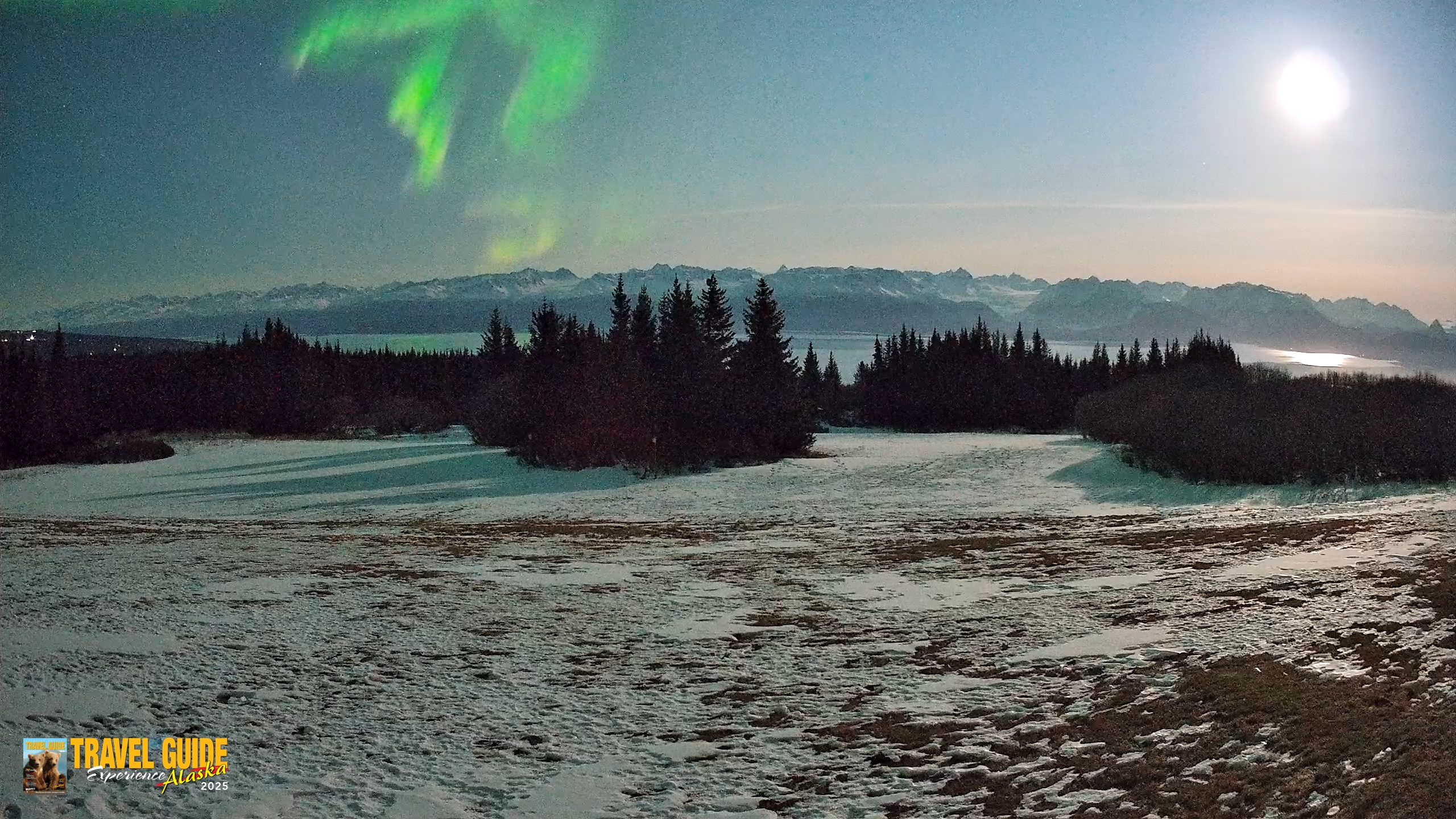Snapshot of Homer Alaska Northern Lights Live Cam taken Apr 1, 2026, 11:28pm AKDT