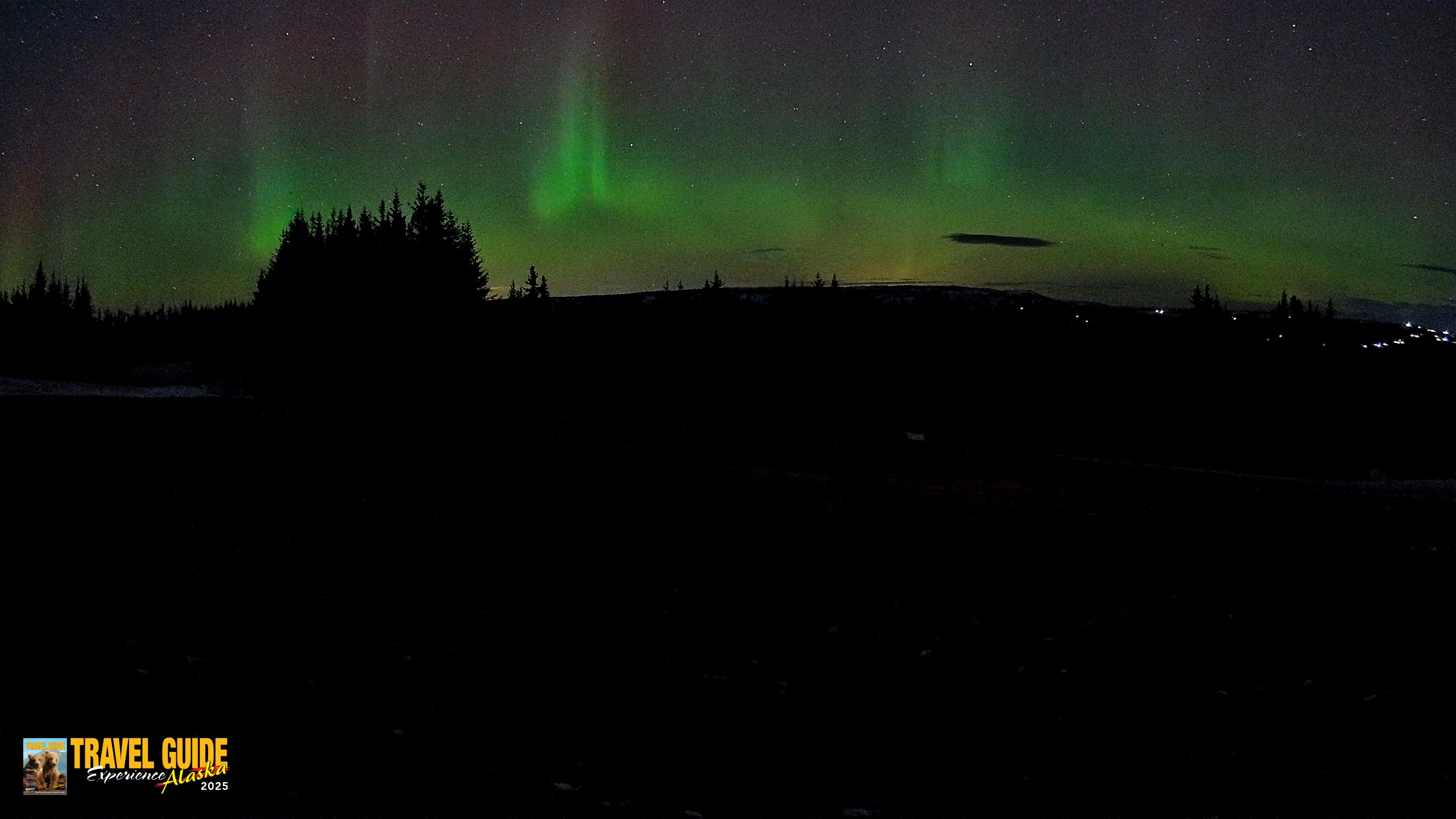 Snapshot of Homer Alaska Northern Lights Live Cam taken Dec 22, 2025, 10:39pm AKST