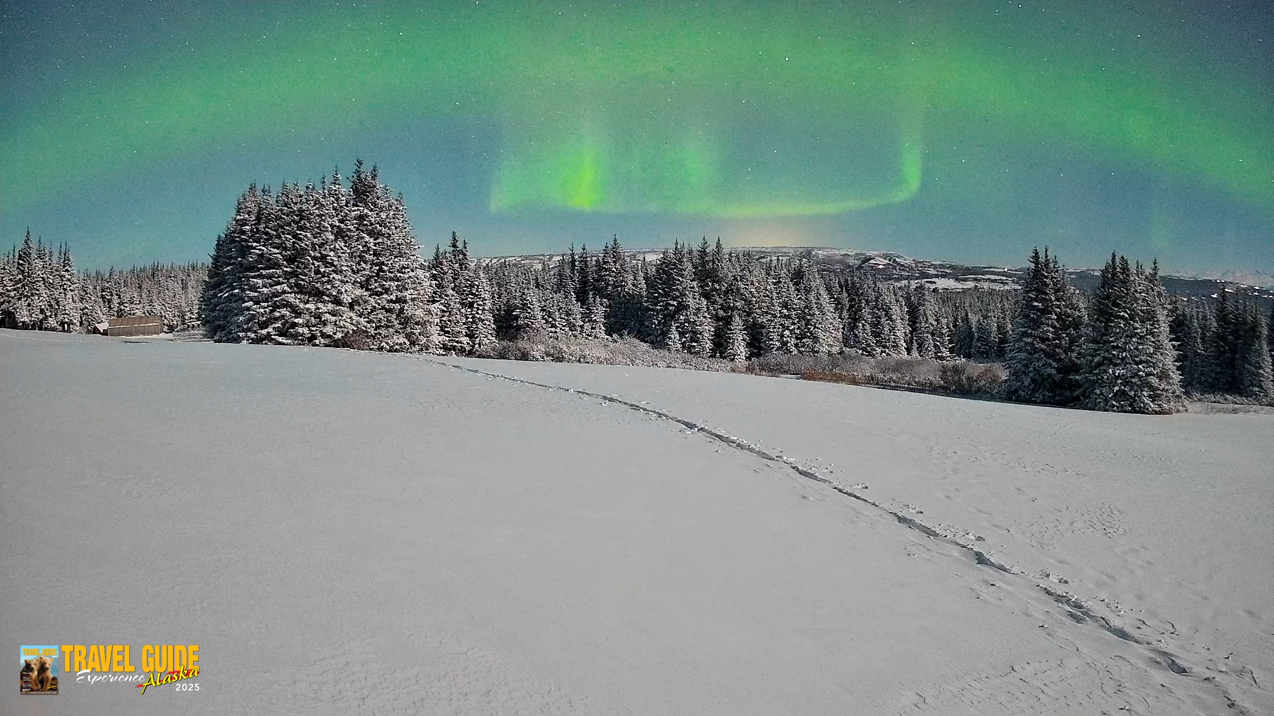 Snapshot of Homer Alaska Northern Lights Live Cam taken Jan 8, 2026, 3:33am AKST