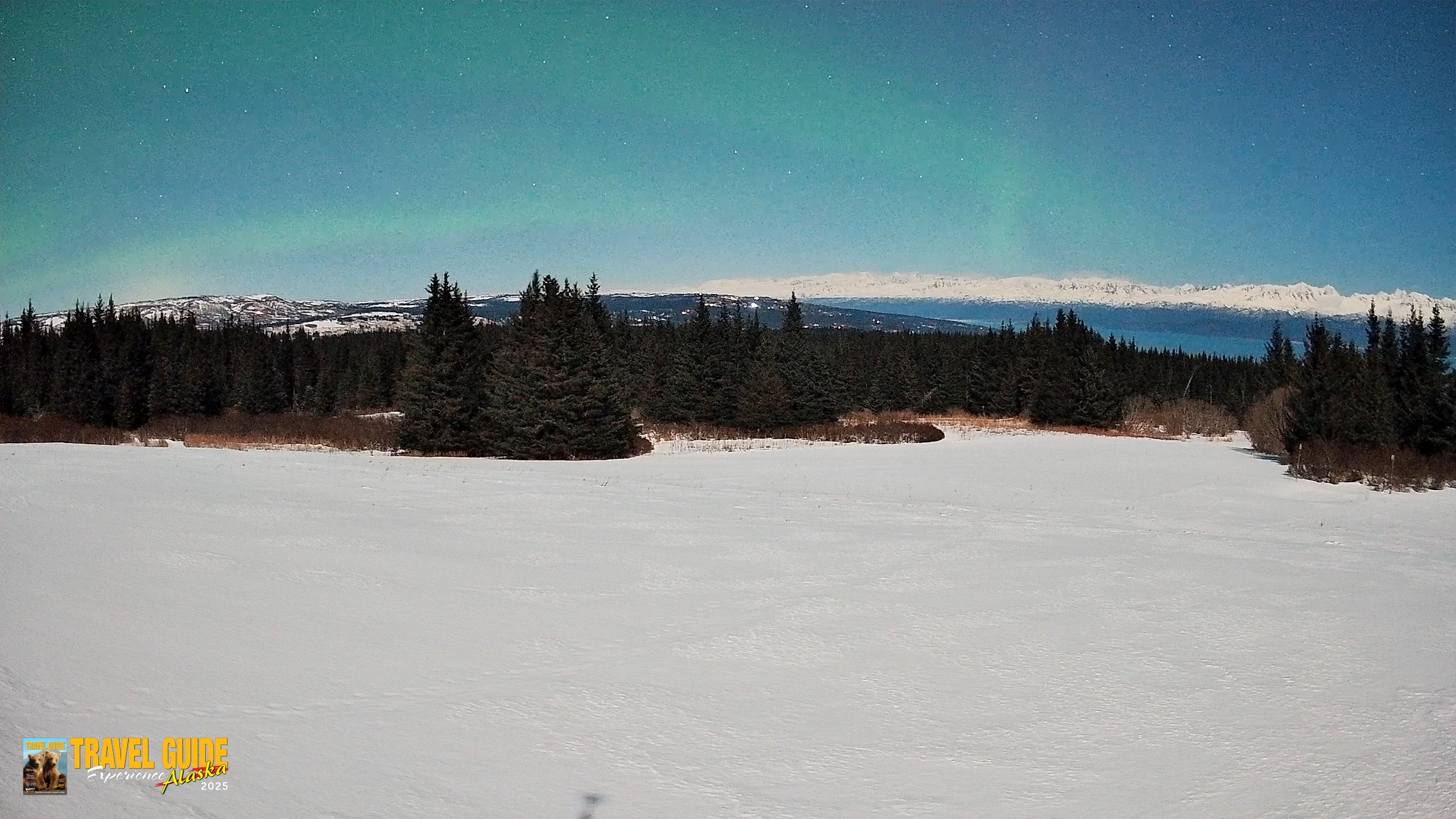 Snapshot of Homer Alaska Northern Lights Live Cam taken Feb 25, 2026, 11:45pm AKST