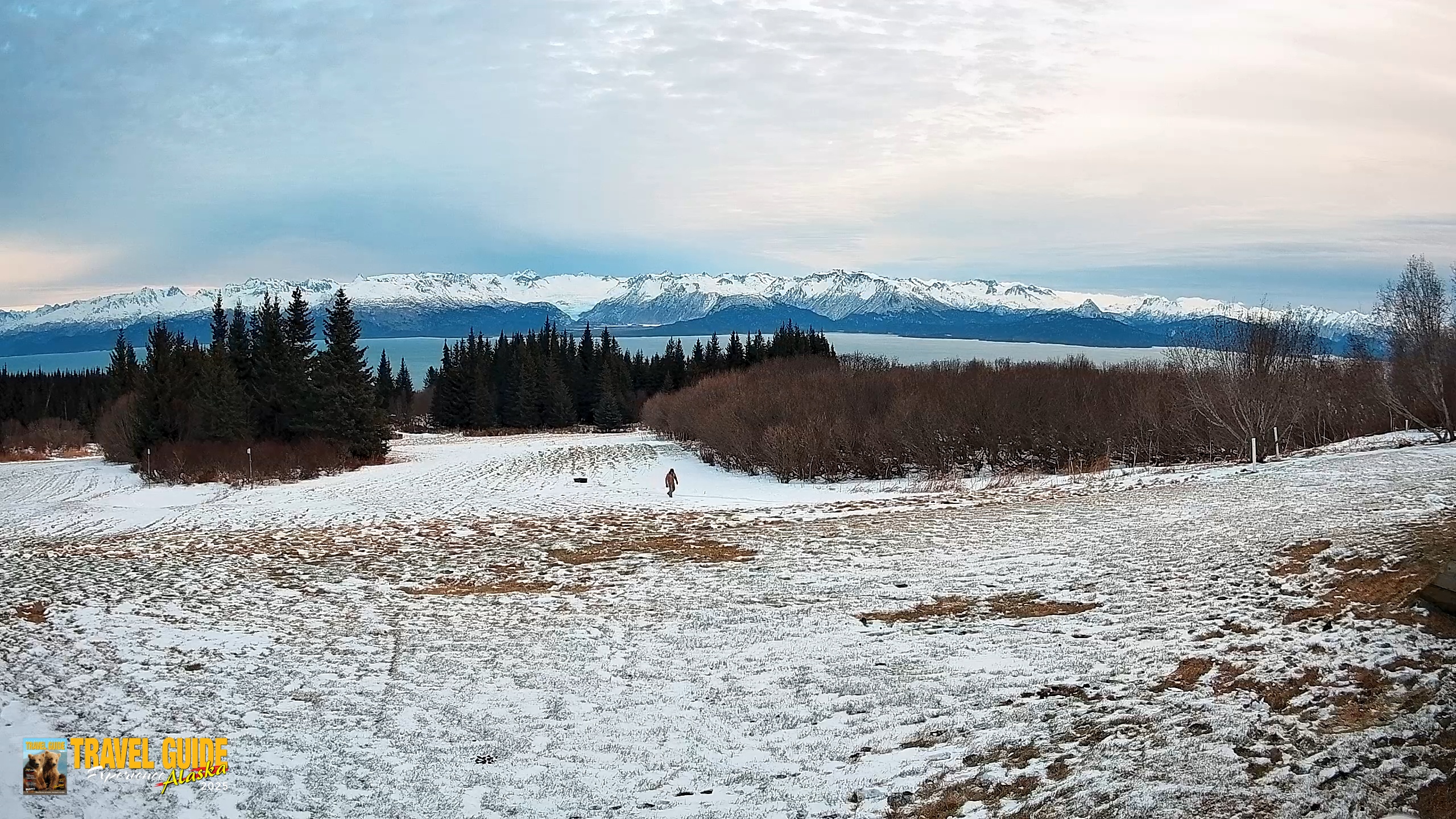 Snapshot of Homer Alaska Northern Lights Live Cam taken Jan 4, 2026, 7:26pm AKST