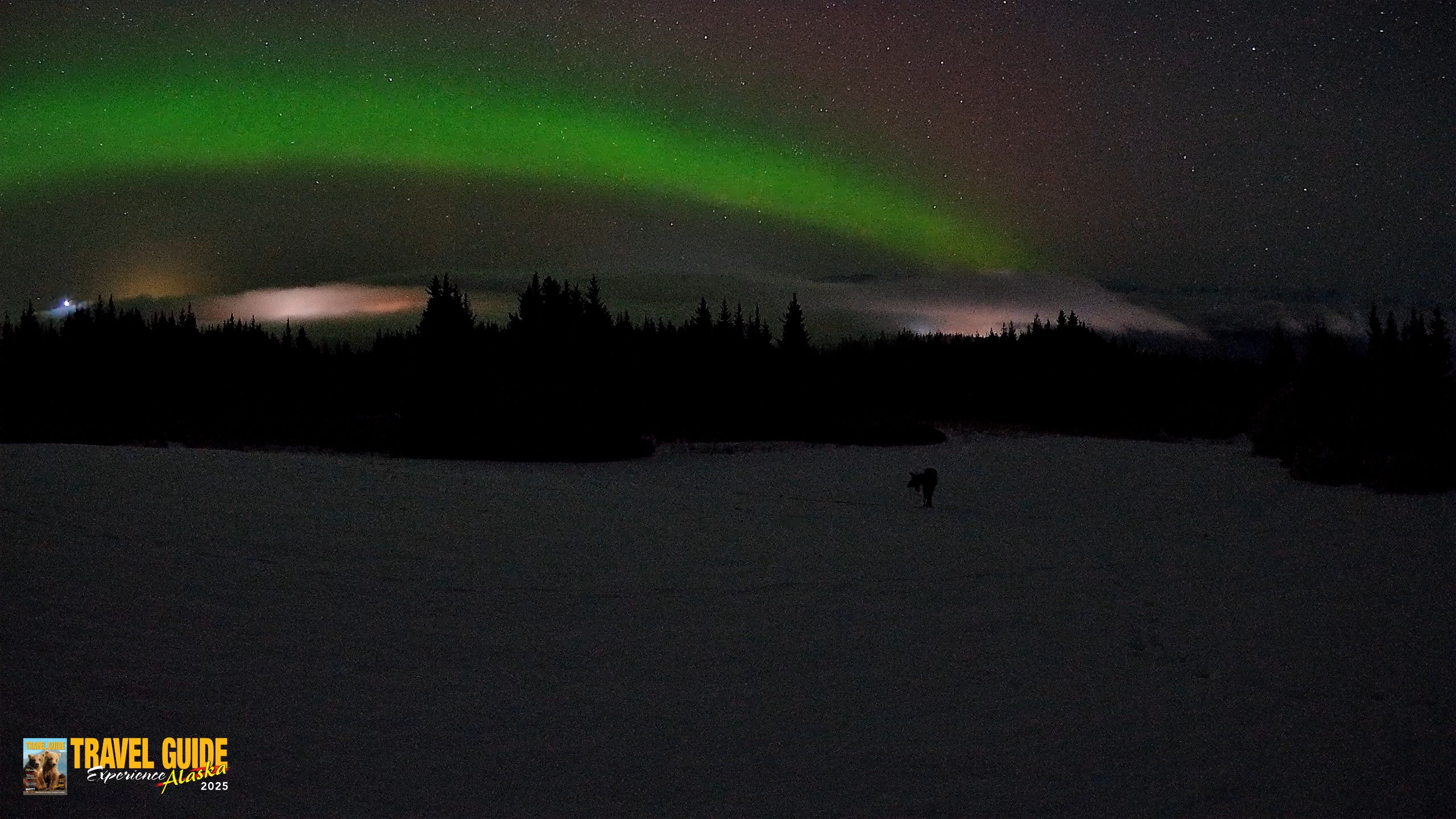 Snapshot of Homer Alaska Northern Lights Live Cam taken Feb 19, 2026, 3:20am AKST