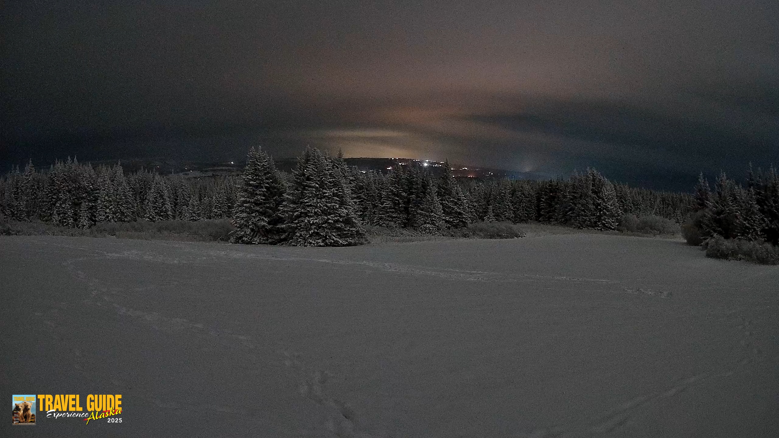 Snapshot of Homer Alaska Northern Lights Live Cam taken Jan 12, 2026, 11:43pm AKST