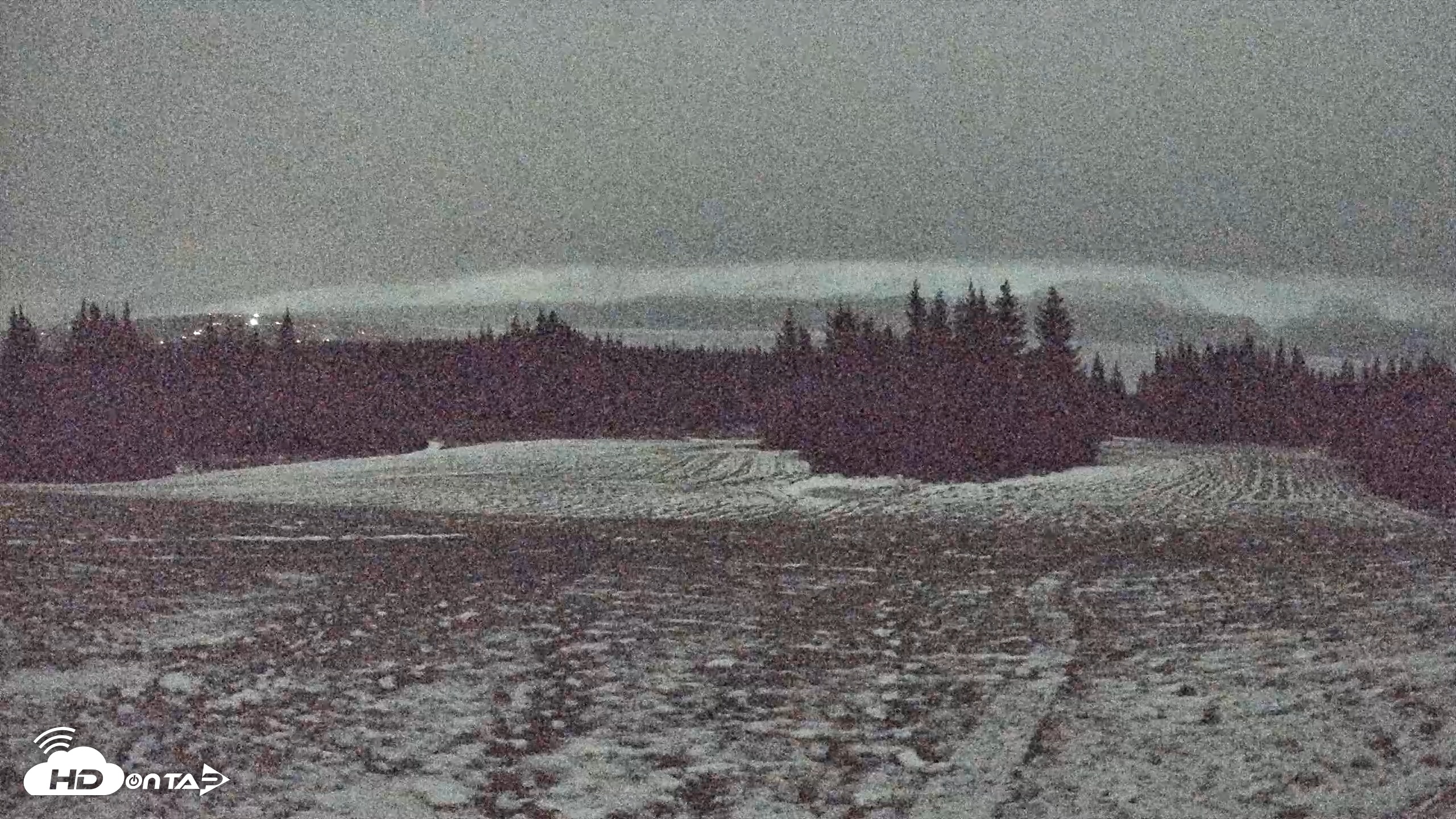 Snapshot of Homer Alaska Northern Lights Live Cam taken Dec 2, 2025, 2:39am AKST