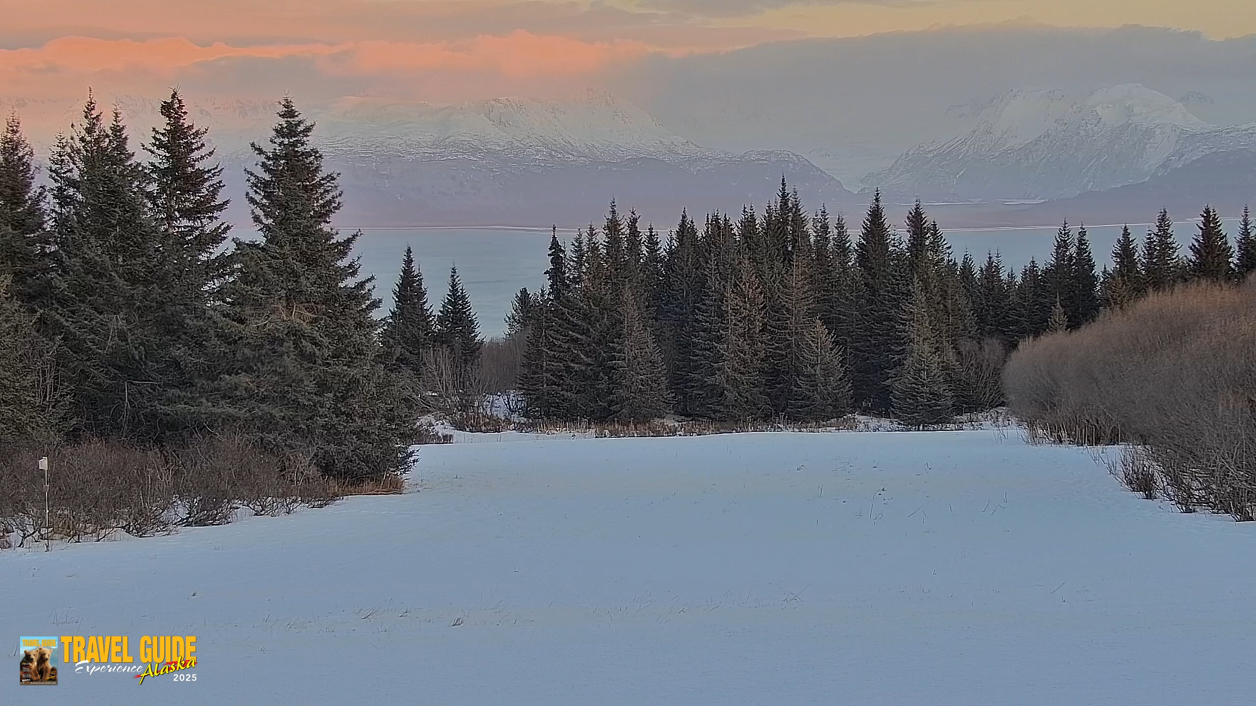 Snapshot of Homer Alaska Northern Lights Live Cam taken Feb 19, 2026, 5:54pm AKST