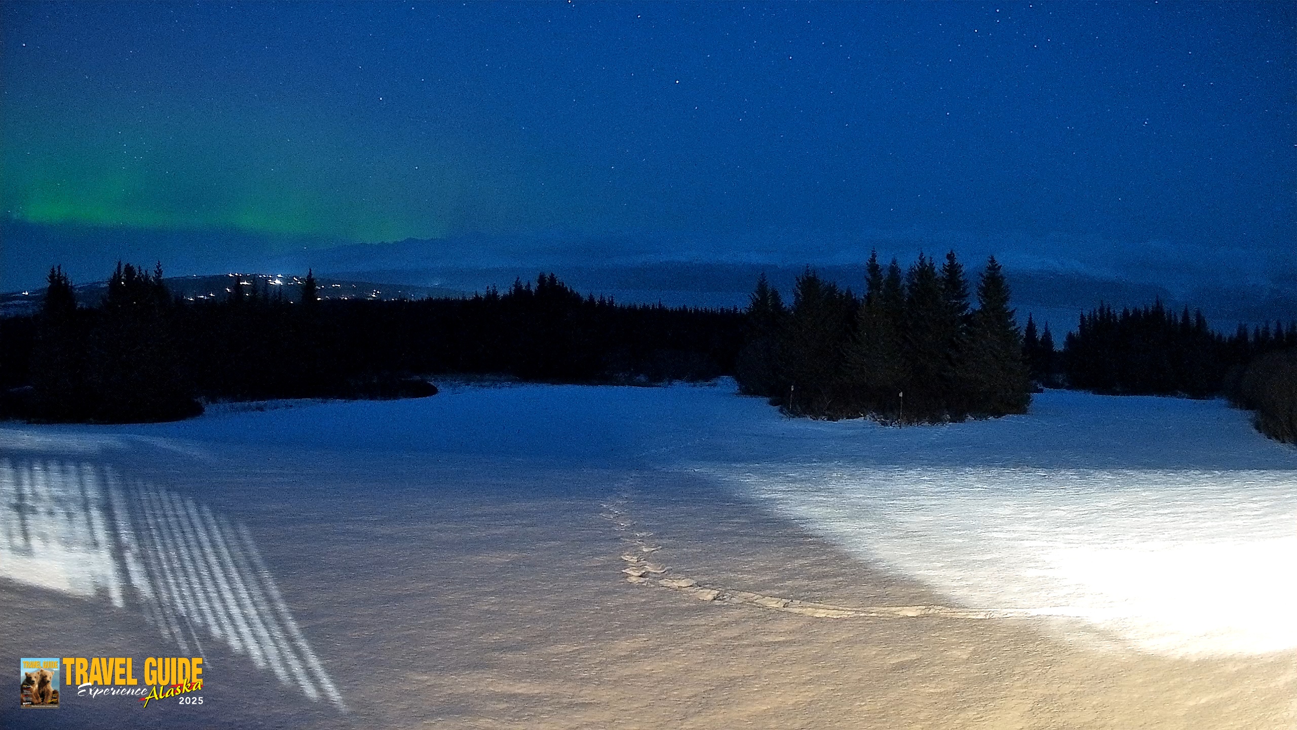 Snapshot of Homer Alaska Northern Lights Live Cam taken Feb 15, 2026, 7:41pm AKST