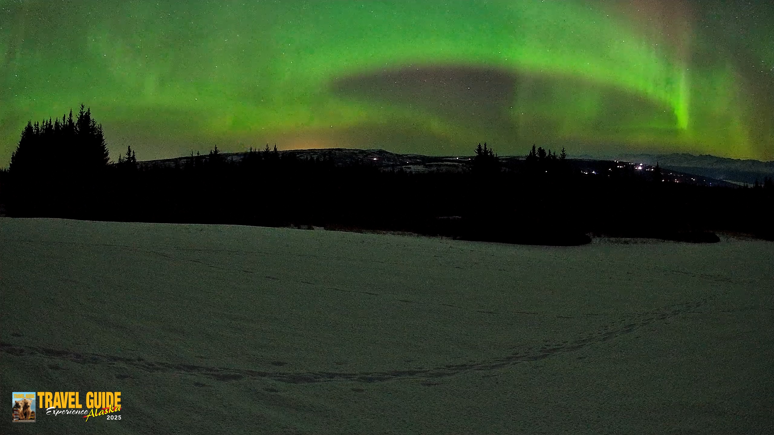 Snapshot of Homer Alaska Northern Lights Live Cam taken Feb 22, 2026, 6:46am AKST