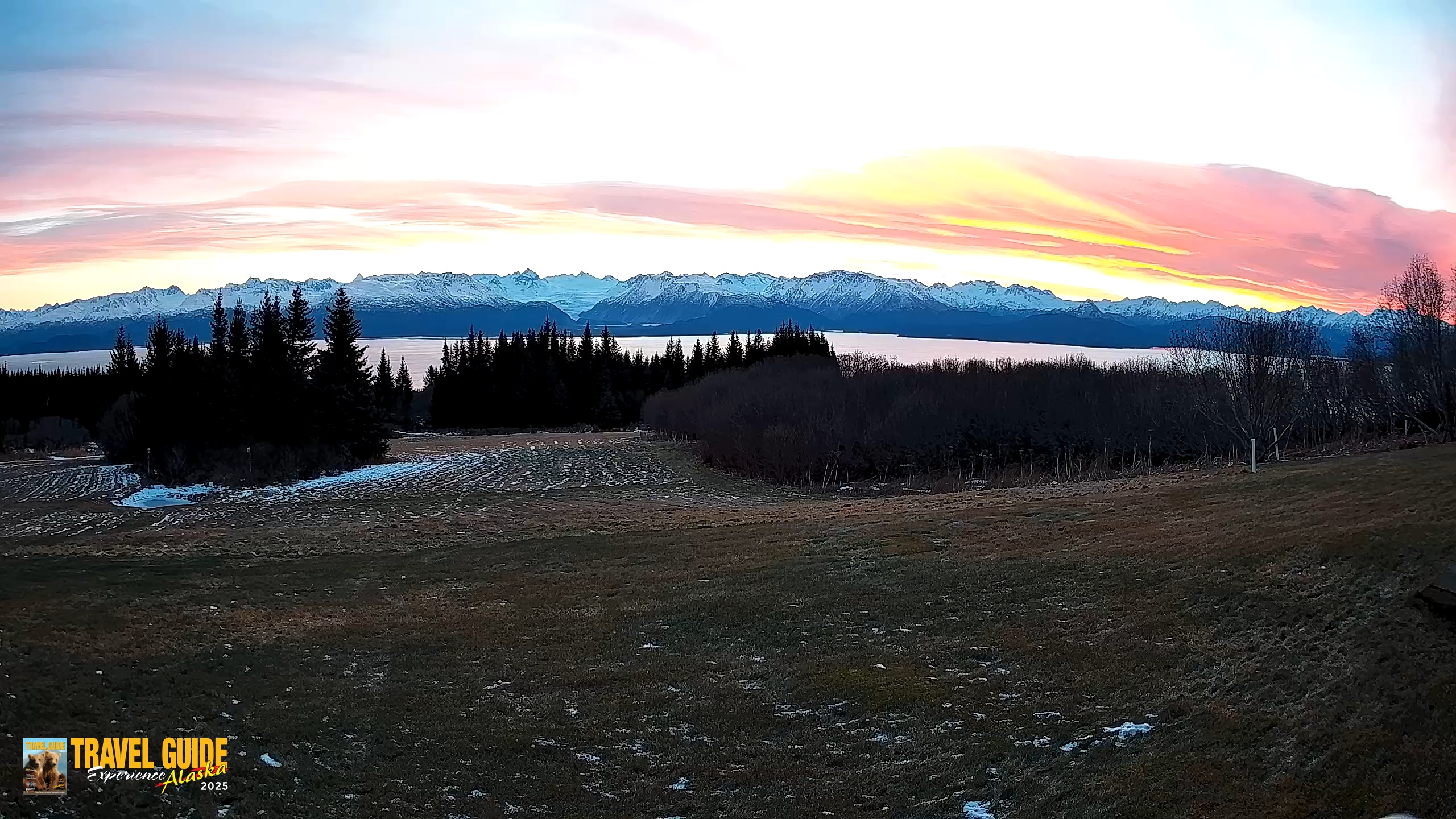 Snapshot of Homer Alaska Northern Lights Live Cam taken Dec 19, 2025, 11:28am AKST