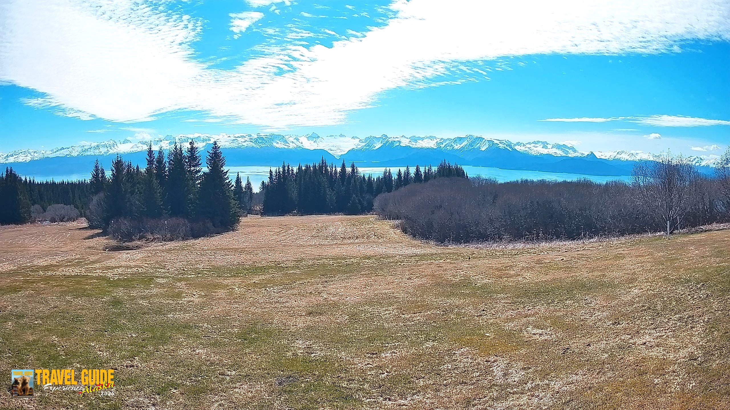 Snapshot of Homer Alaska Northern Lights Live Cam taken May 25, 2026, 11:03am AKDT