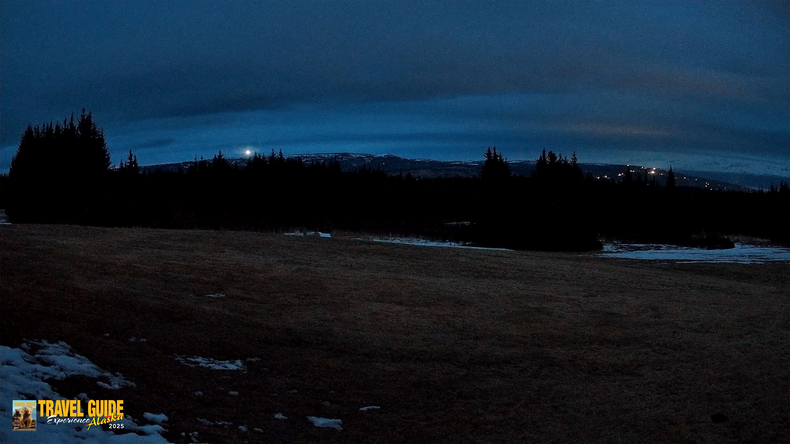 Snapshot of Homer Alaska Northern Lights Live Cam taken Apr 21, 2026, 11:17pm AKDT