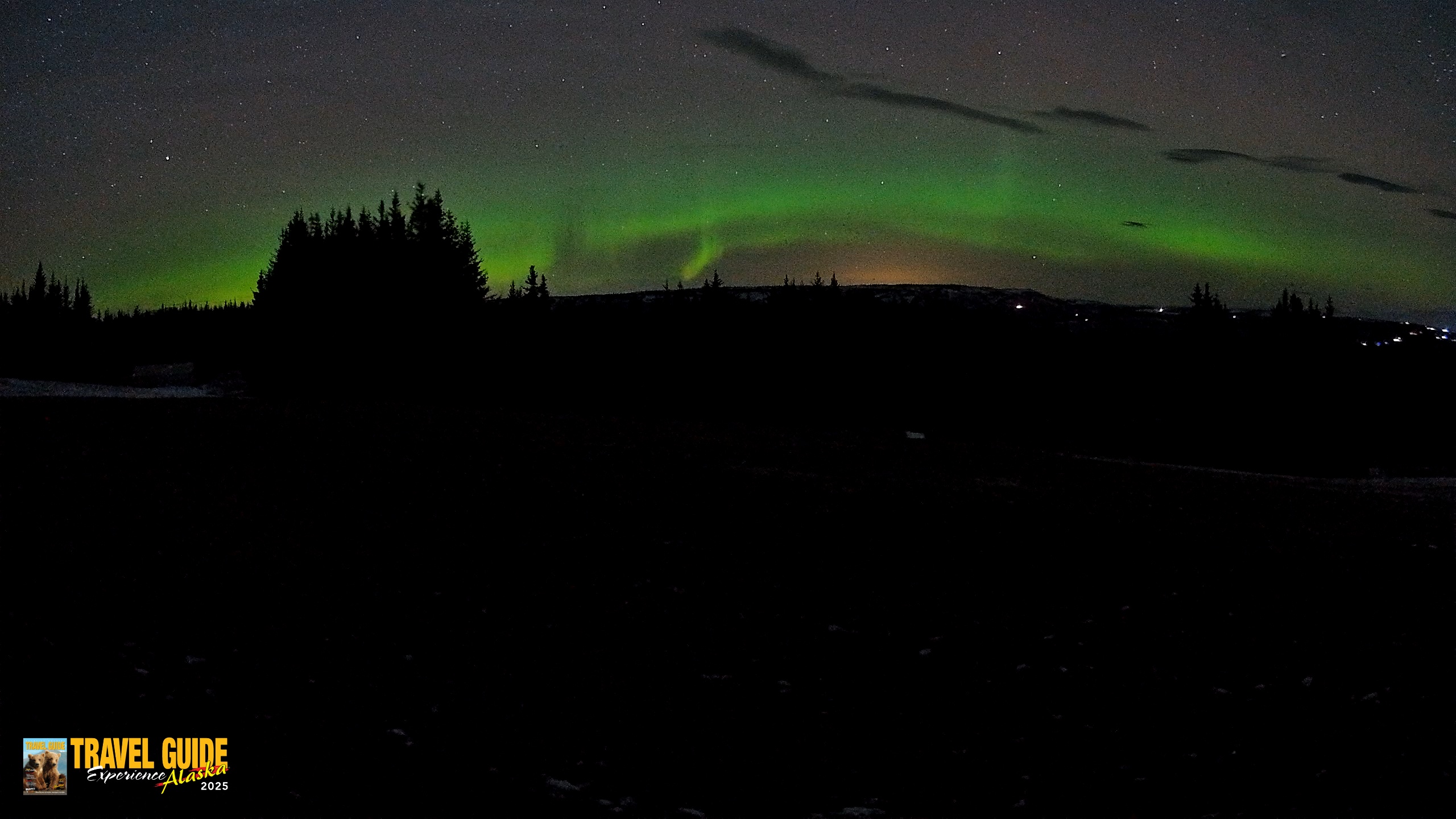 Snapshot of Homer Alaska Northern Lights Live Cam taken Dec 17, 2025, 12:51am AKST