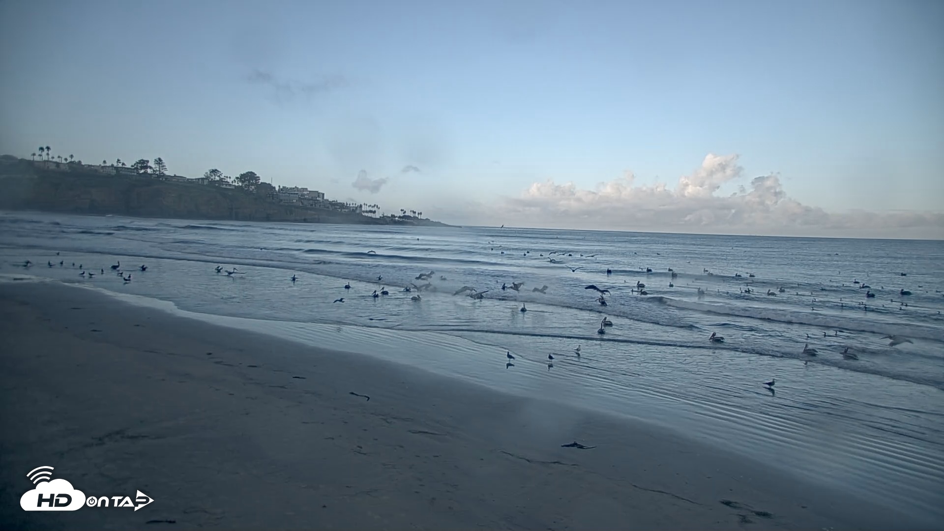 Snapshot of La Jolla Shores Live Surf Cam taken Dec 25, 2025, 7:40am PST