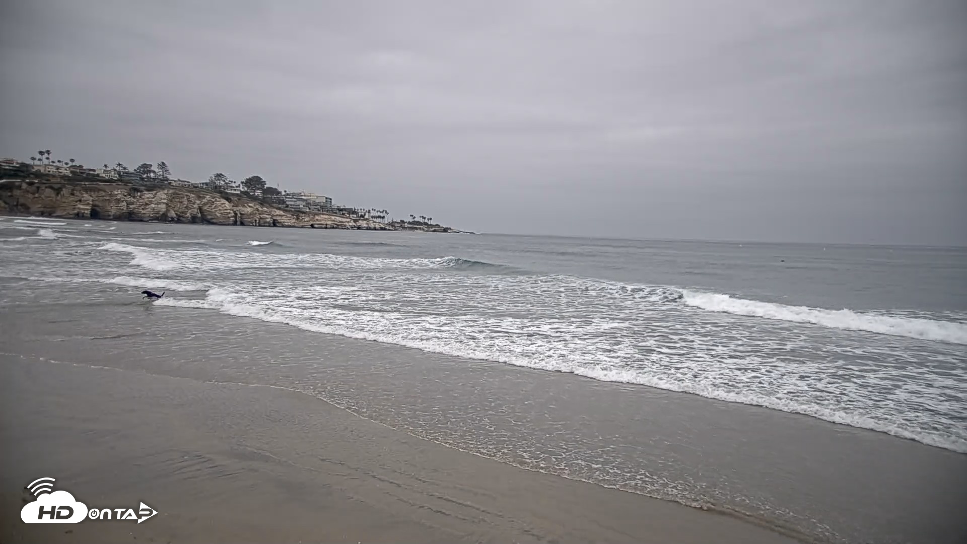 Snapshot of La Jolla Shores Live Surf Cam taken May 1, 2026, 8:55am PDT