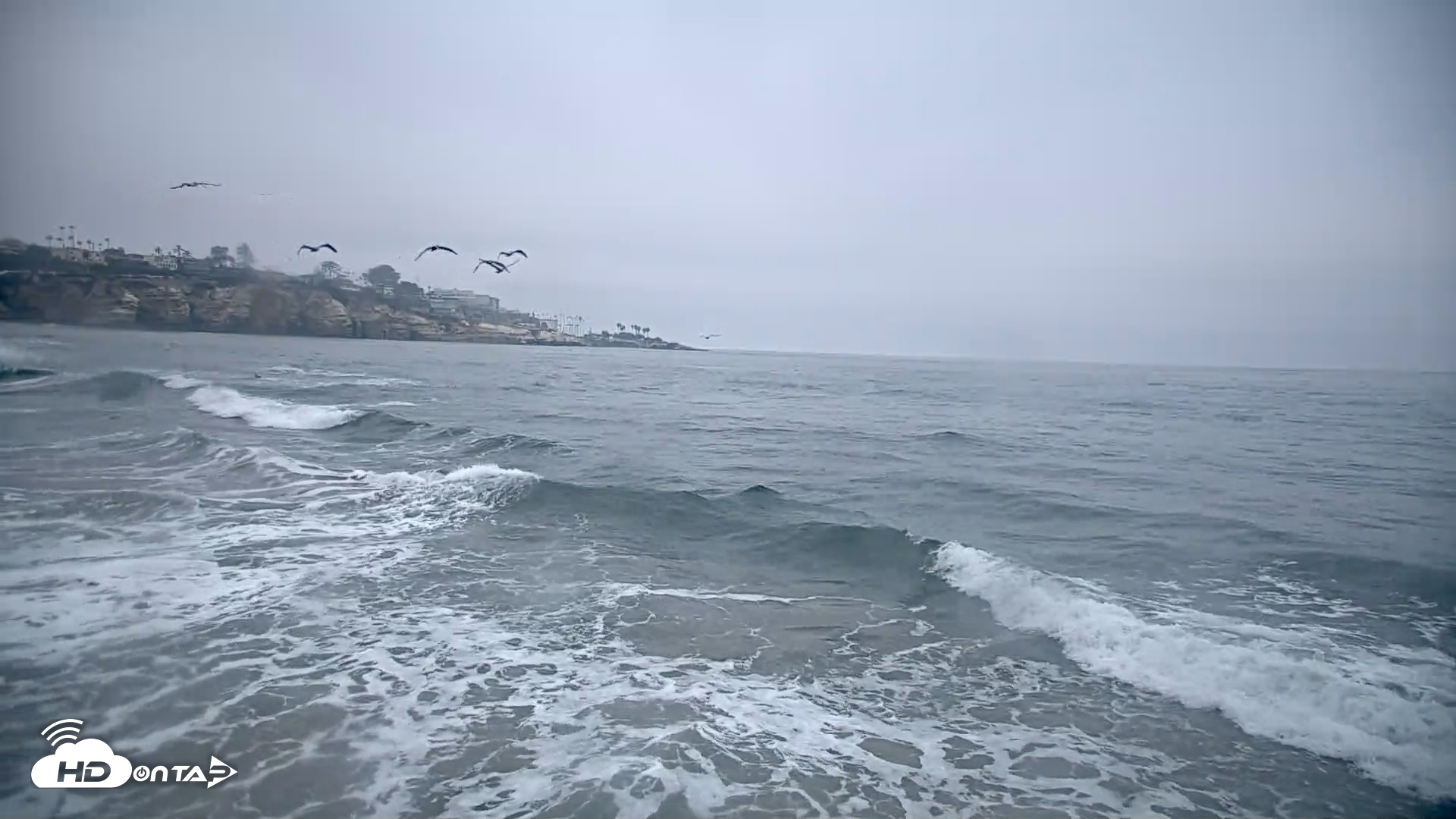 Snapshot of La Jolla Shores Live Surf Cam taken Oct 8, 2026, 7:22am PDT